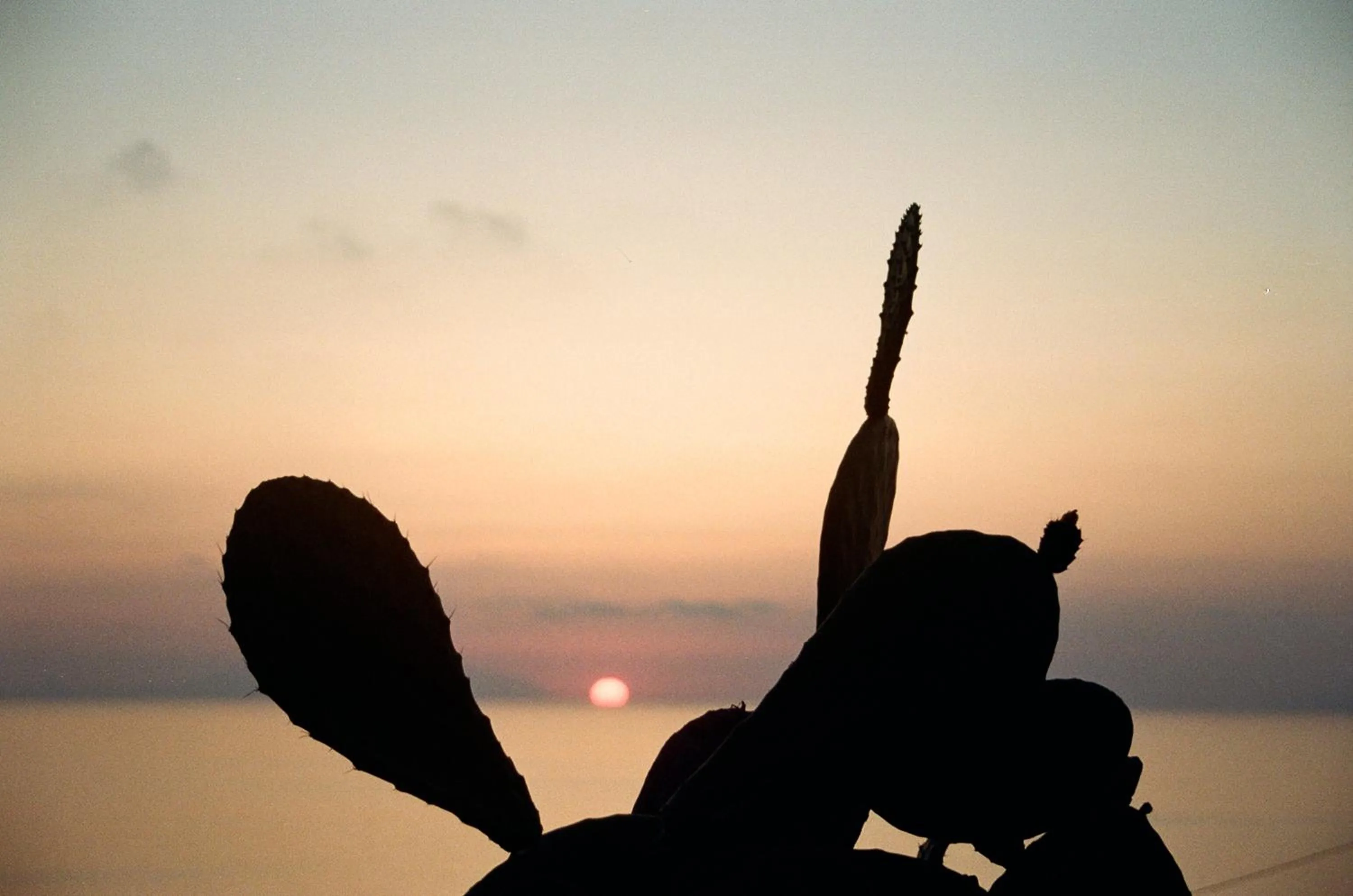 On site in La Casa A Mare B&B