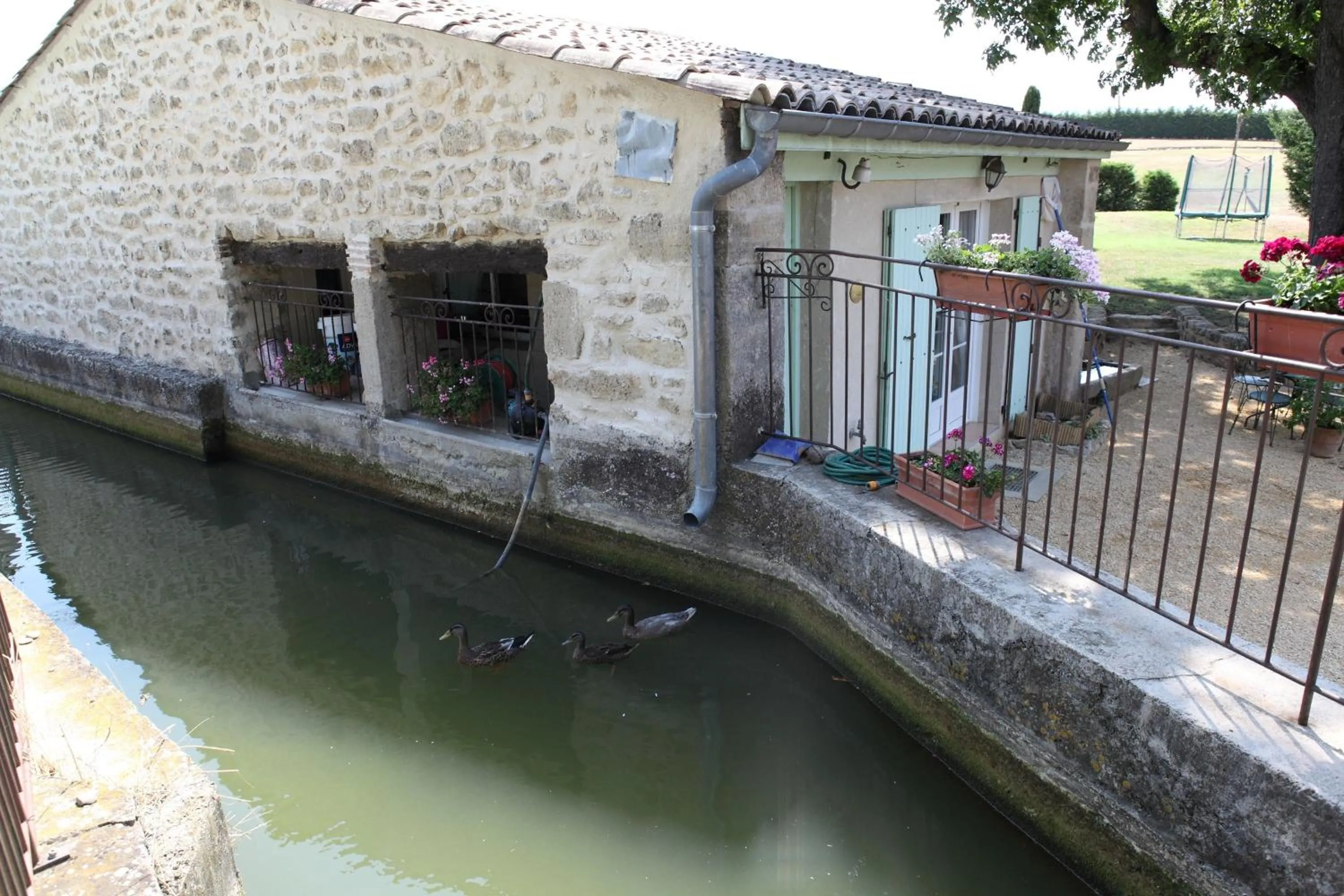 Garden in Le Moulin de Beaunette