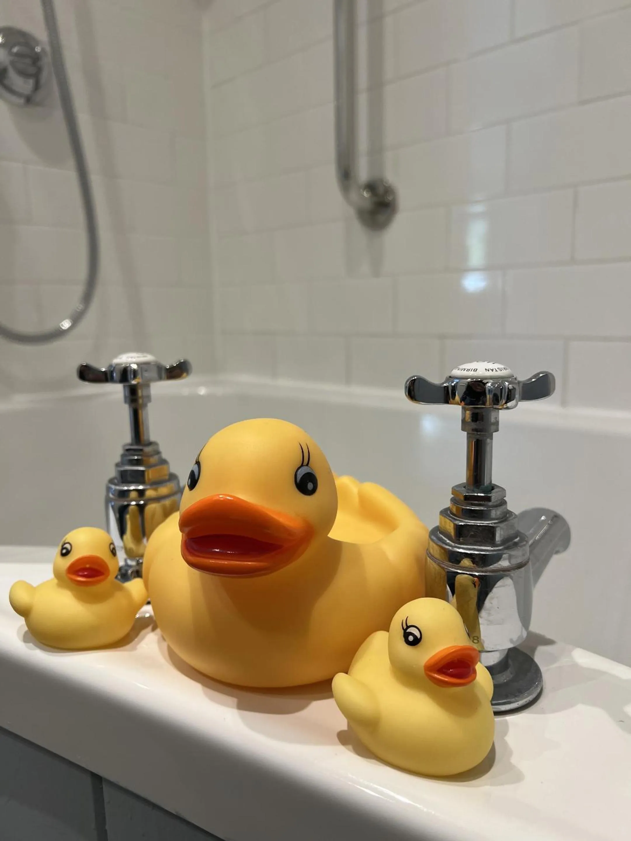 Bathroom in New Flying Horse Inn