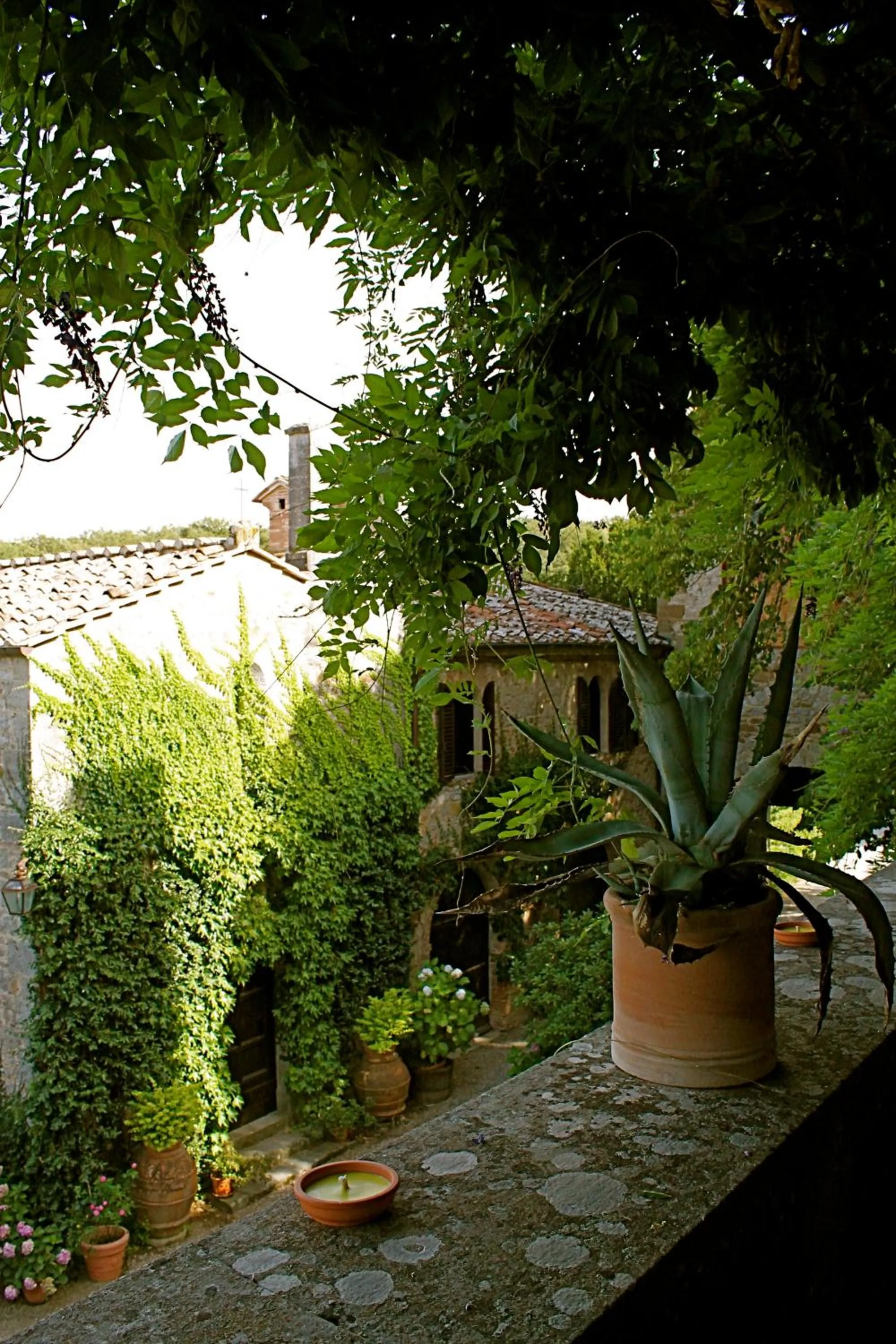 View (from property/room) in Castello di Montalto