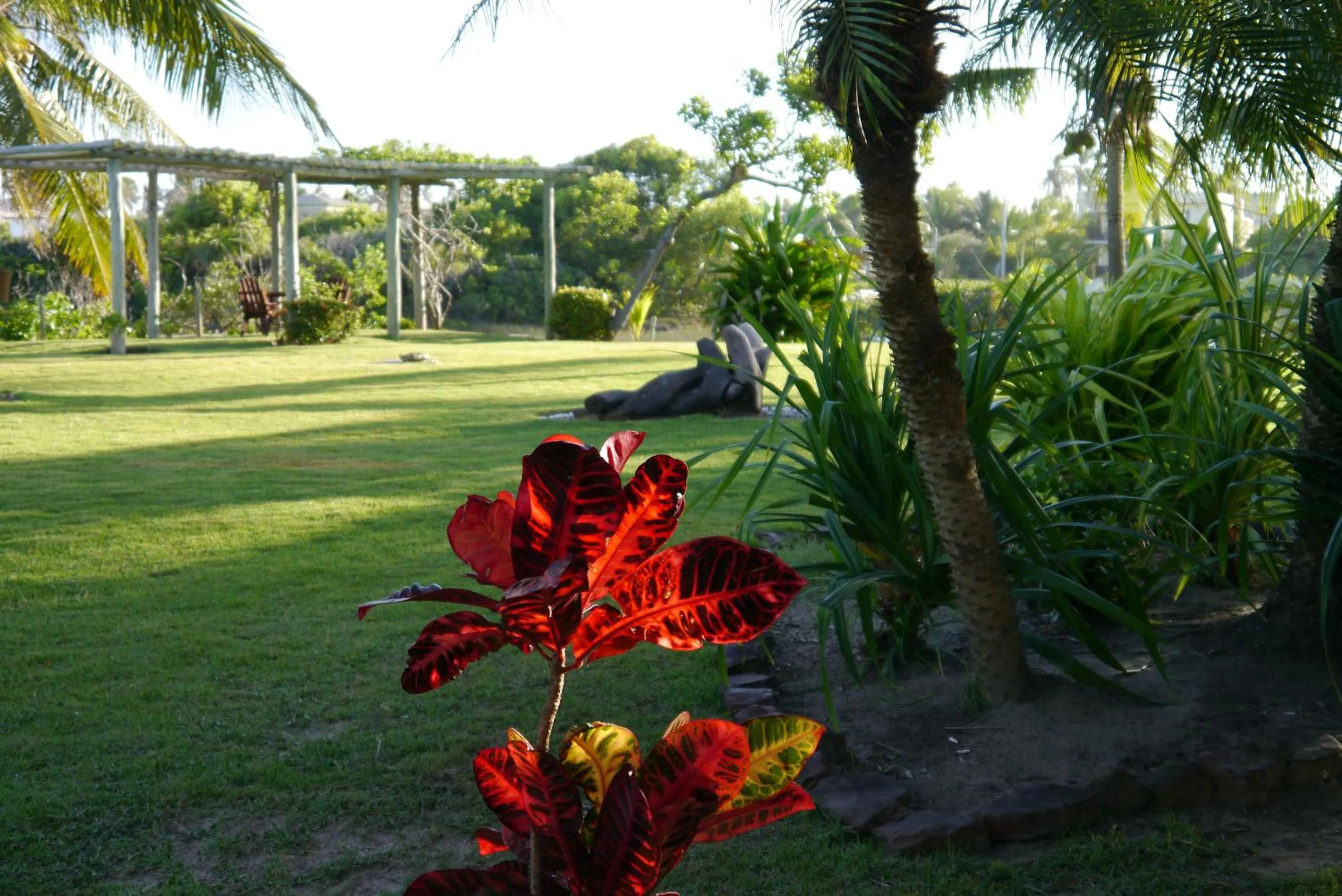 Garden in Grimms Pousada de Contos