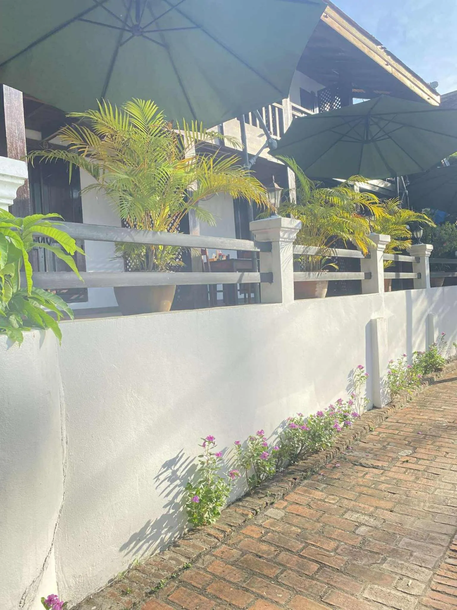 Property building in Golden Lotus Namkhan View