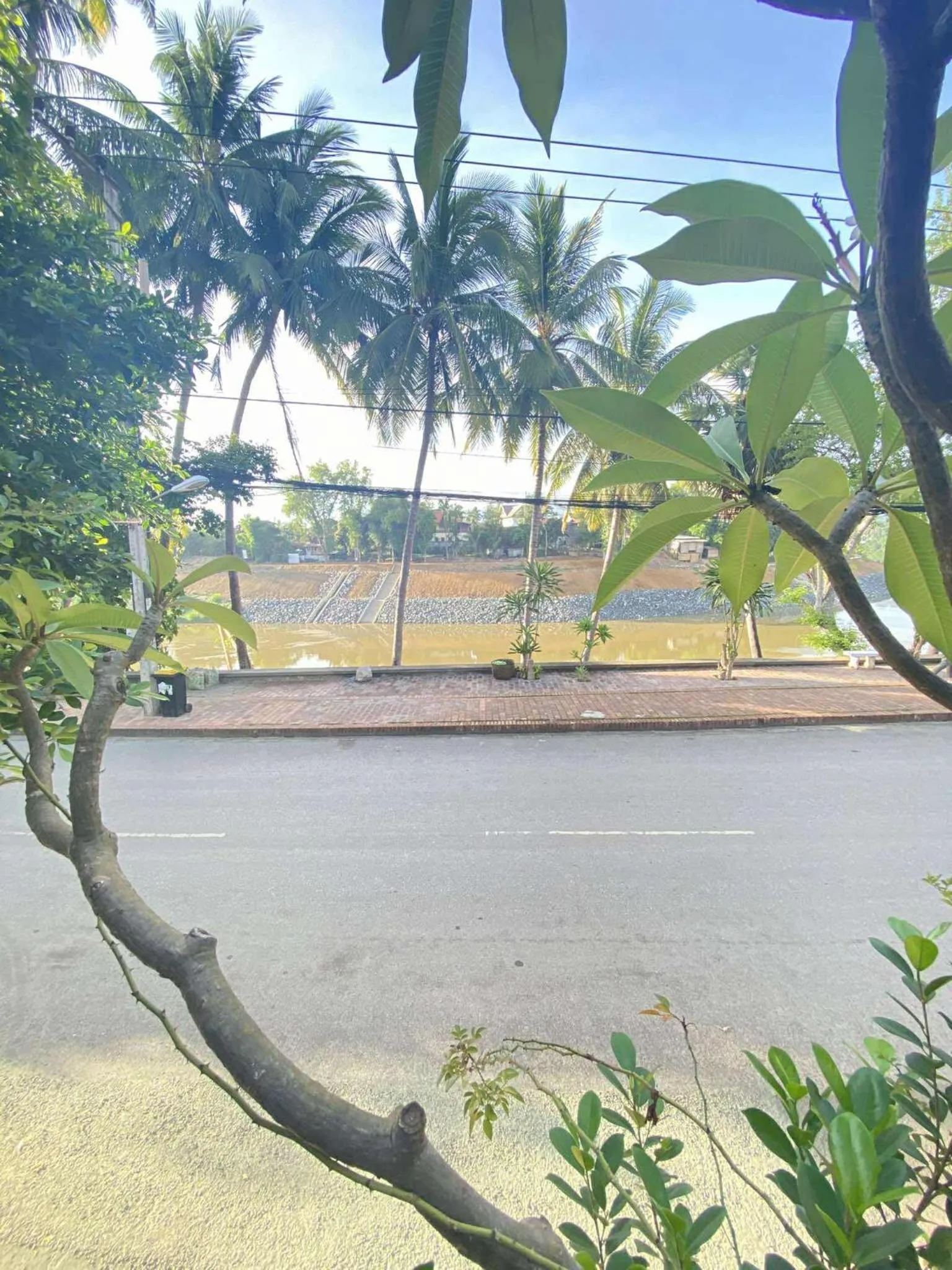 Day in Golden Lotus Namkhan View