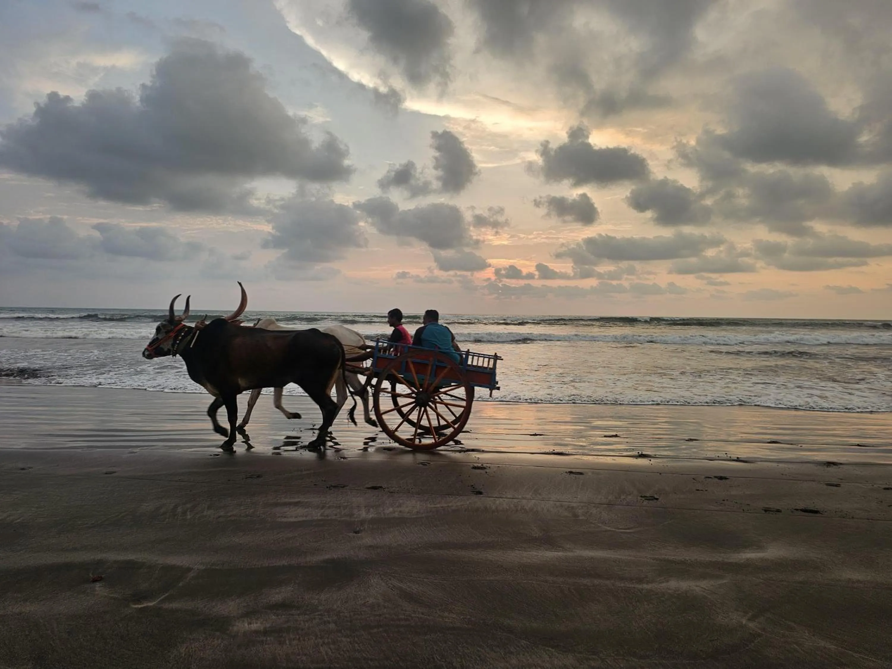 The Byke Skylark Seafront Resort, Dapoli