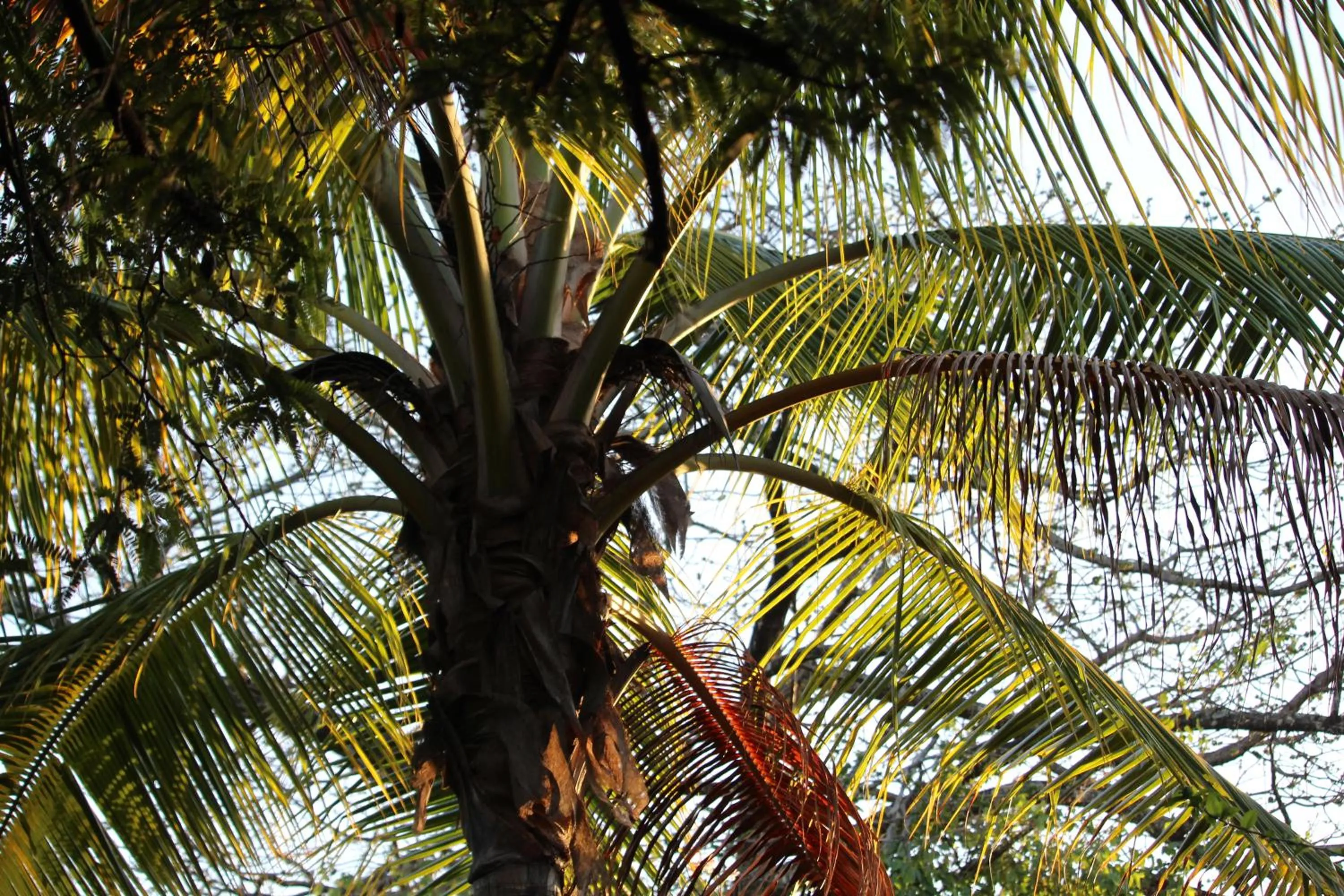 Day in Quinta Esencia