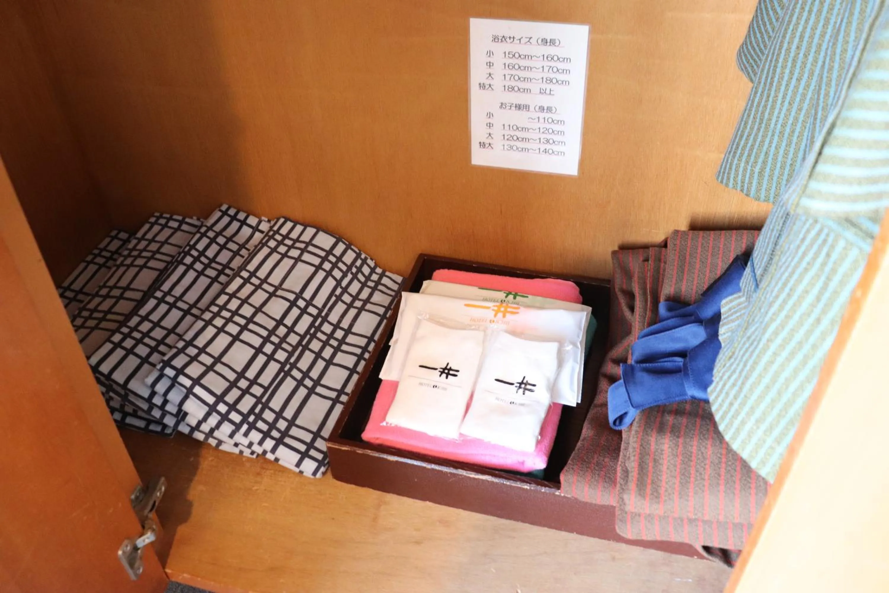 Photo of the whole room in Hotel Ichii