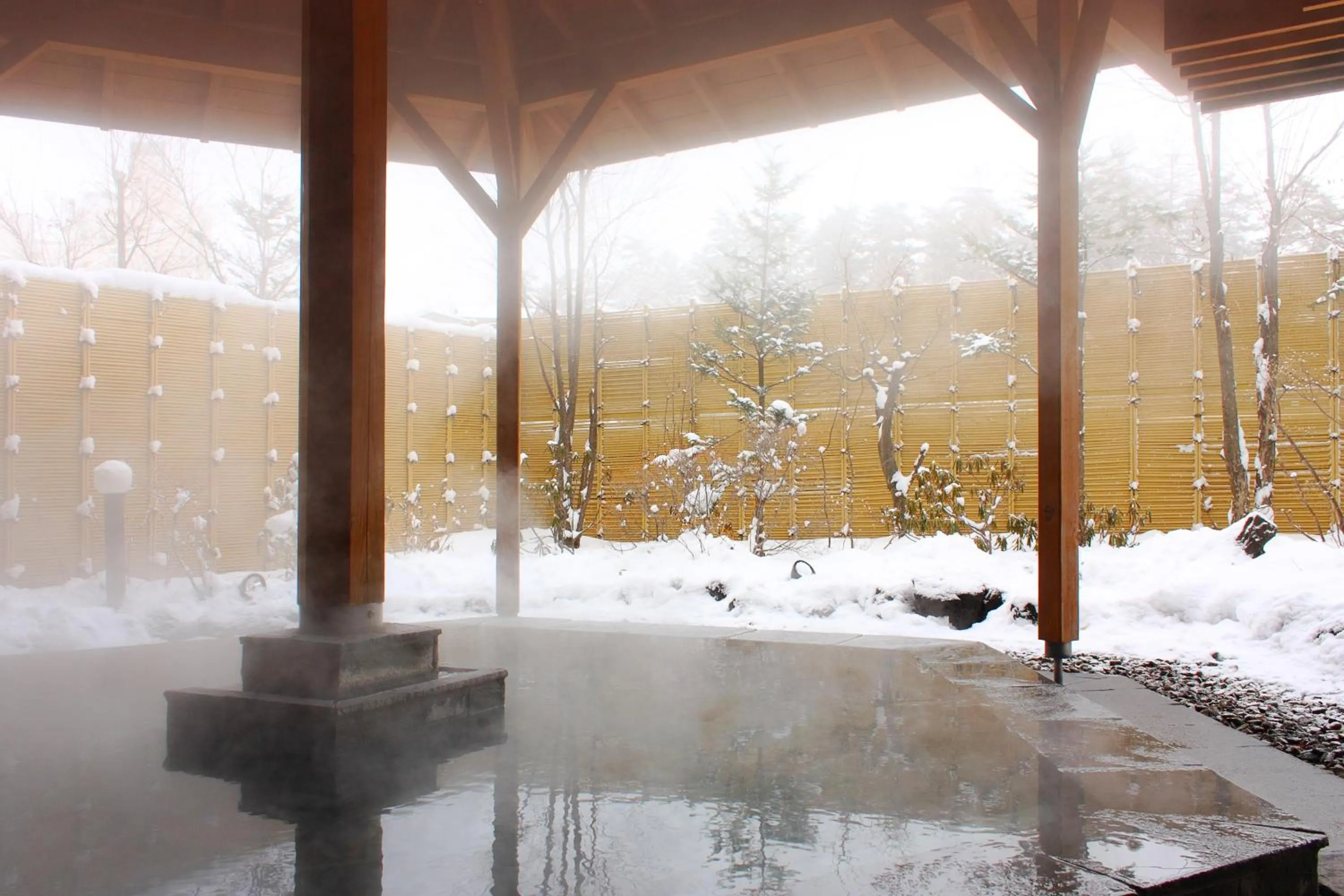 Winter in Hotel Ichii