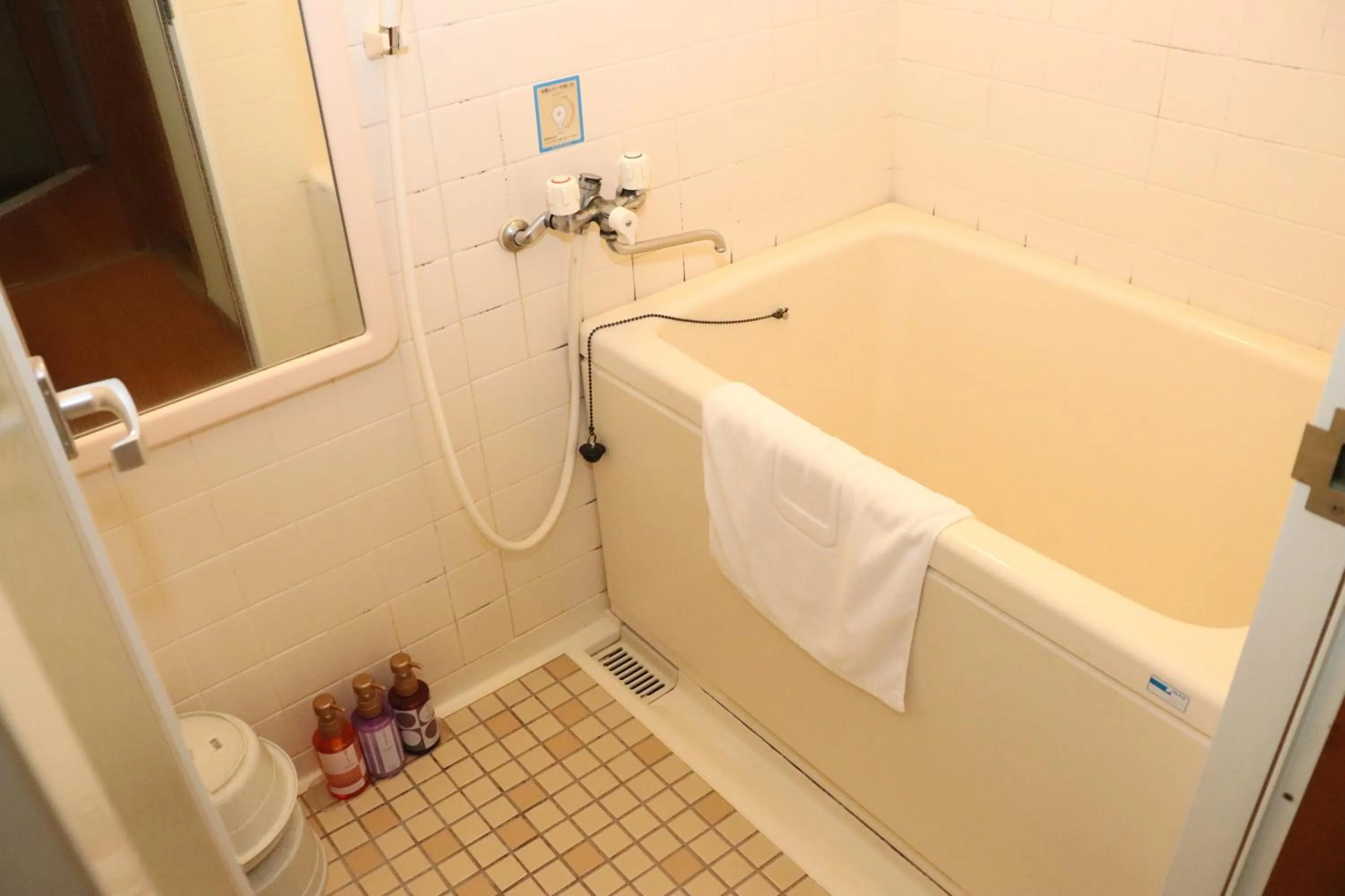 Shower in Hotel Ichii