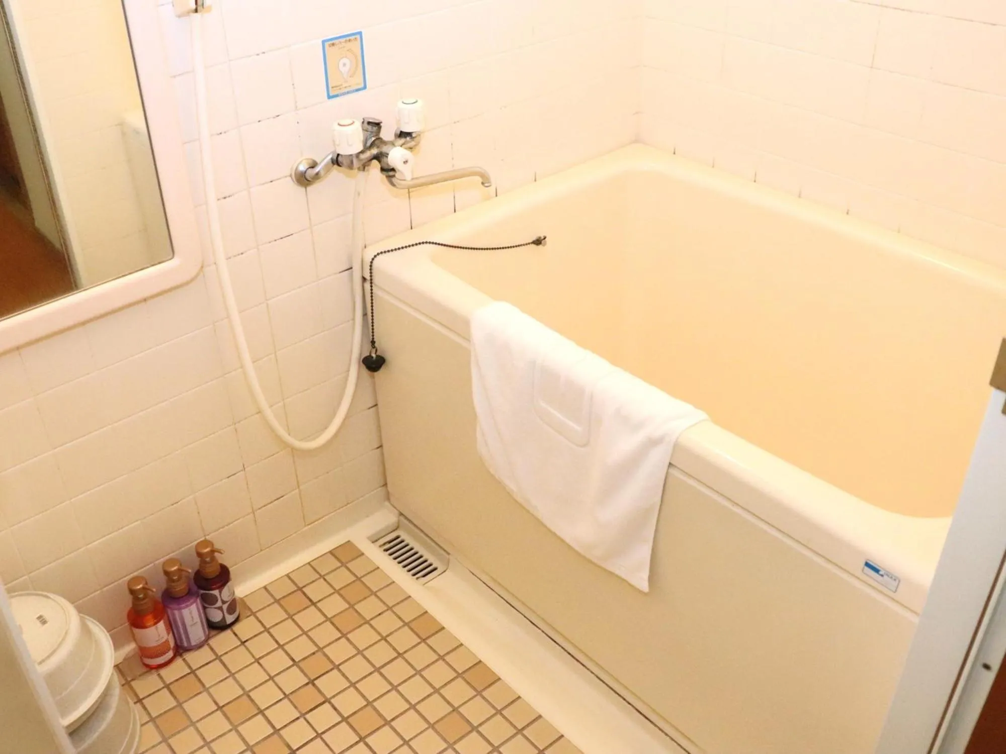 Photo of the whole room in Hotel Ichii