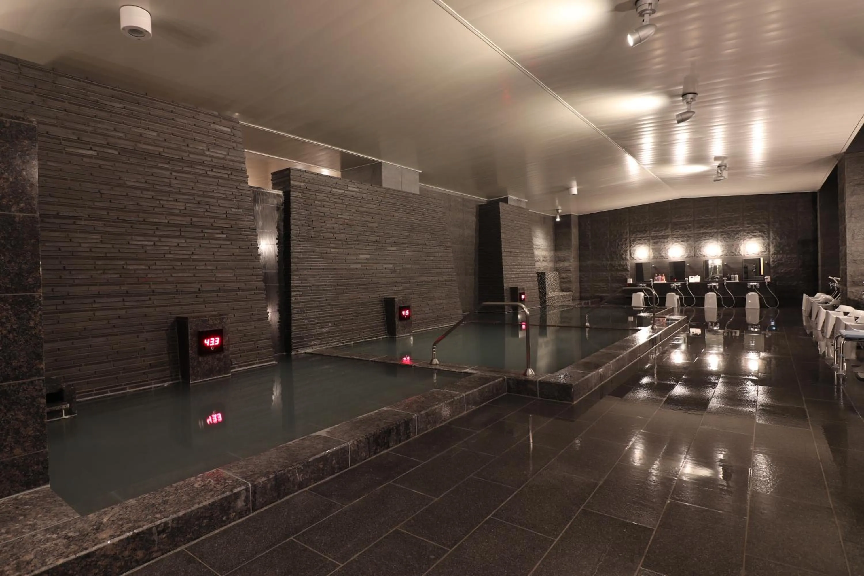 Hot Spring Bath in Hotel Ichii