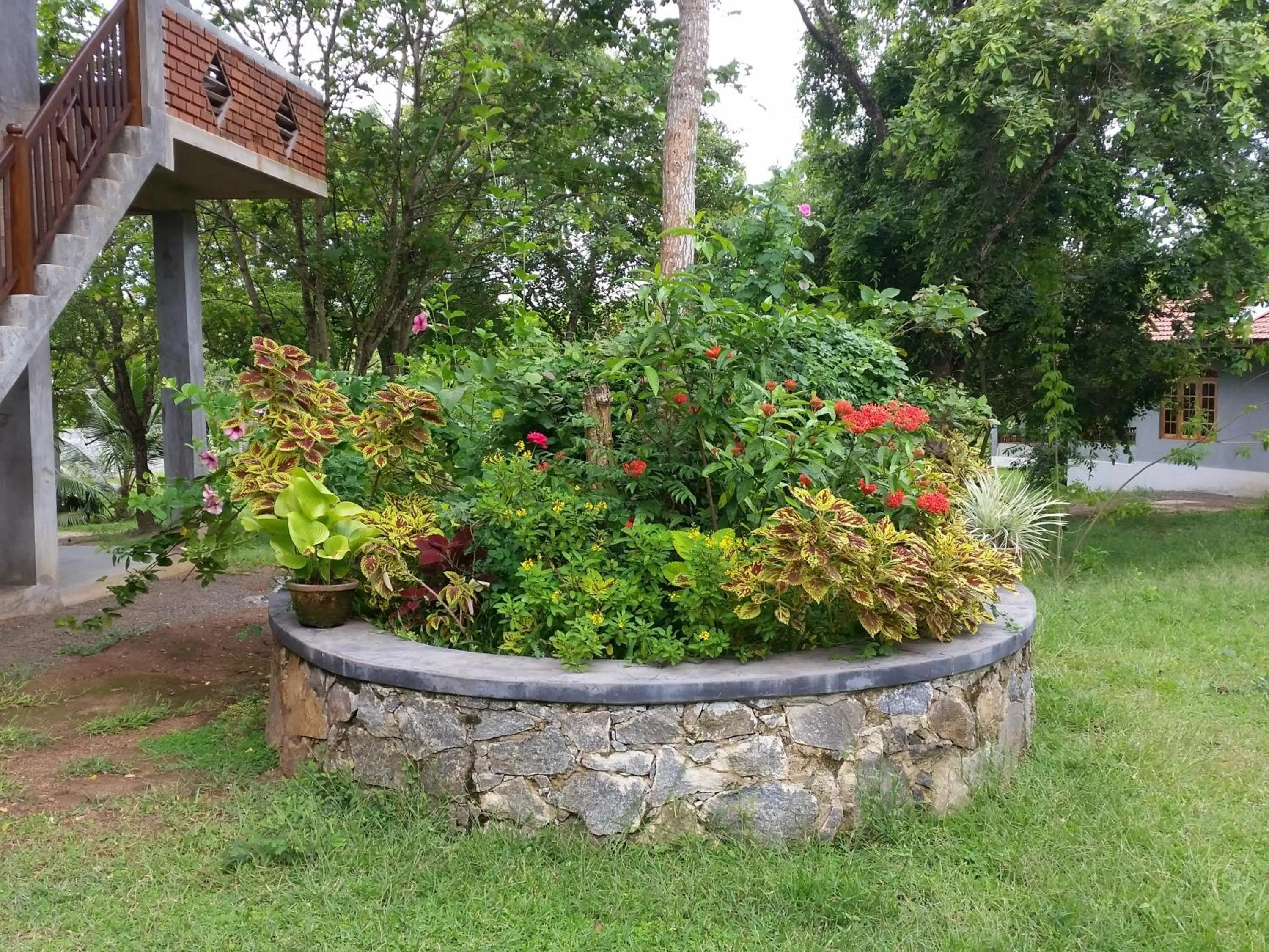 Garden view in Tranquality Chalets