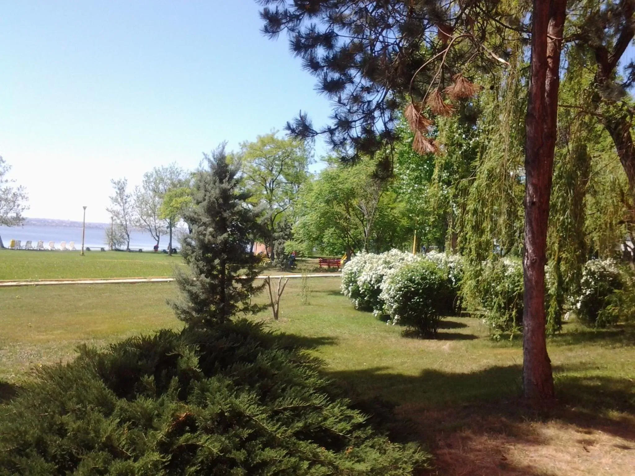 Garden in Hotel Piccadilly