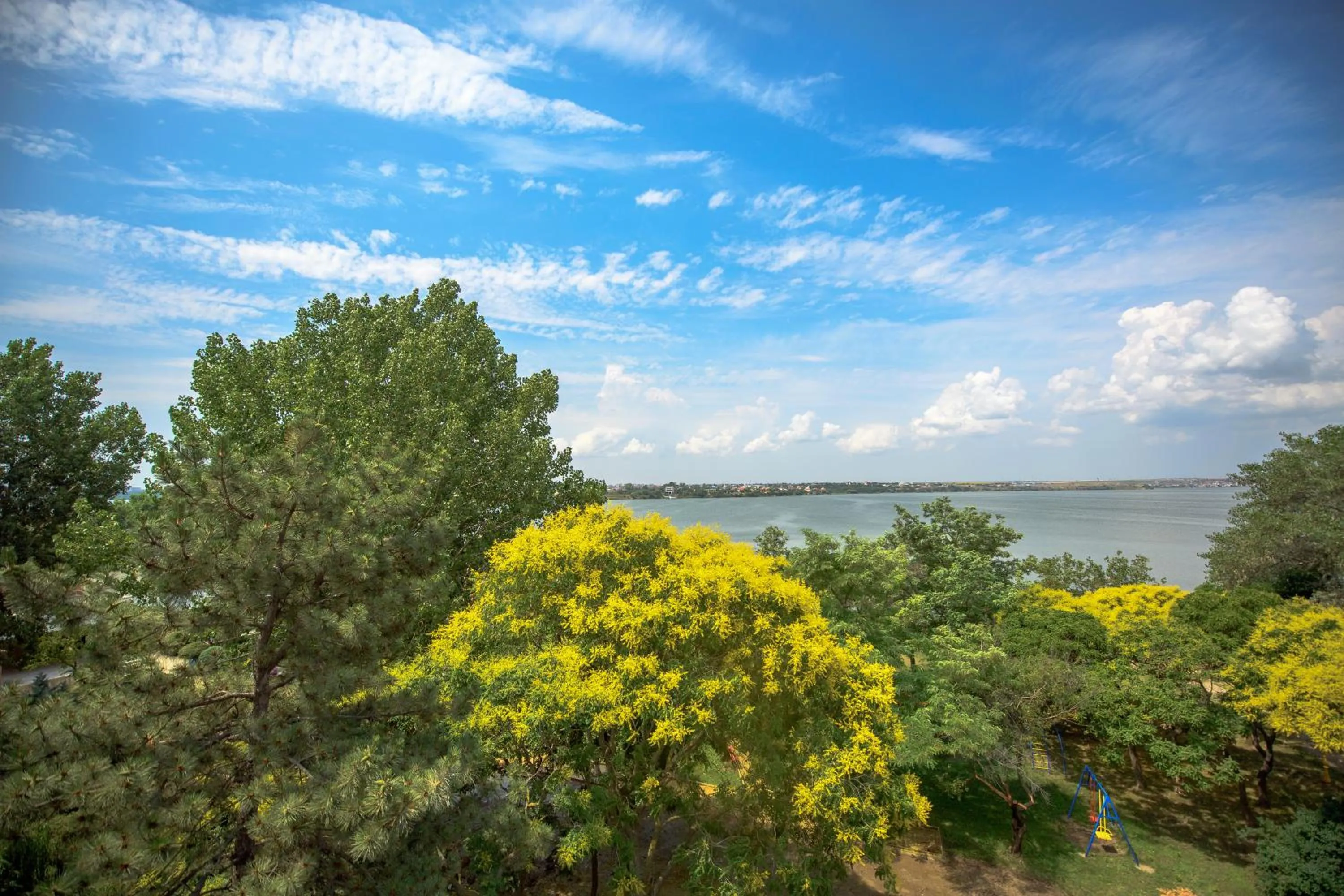 Natural landscape in Hotel Piccadilly