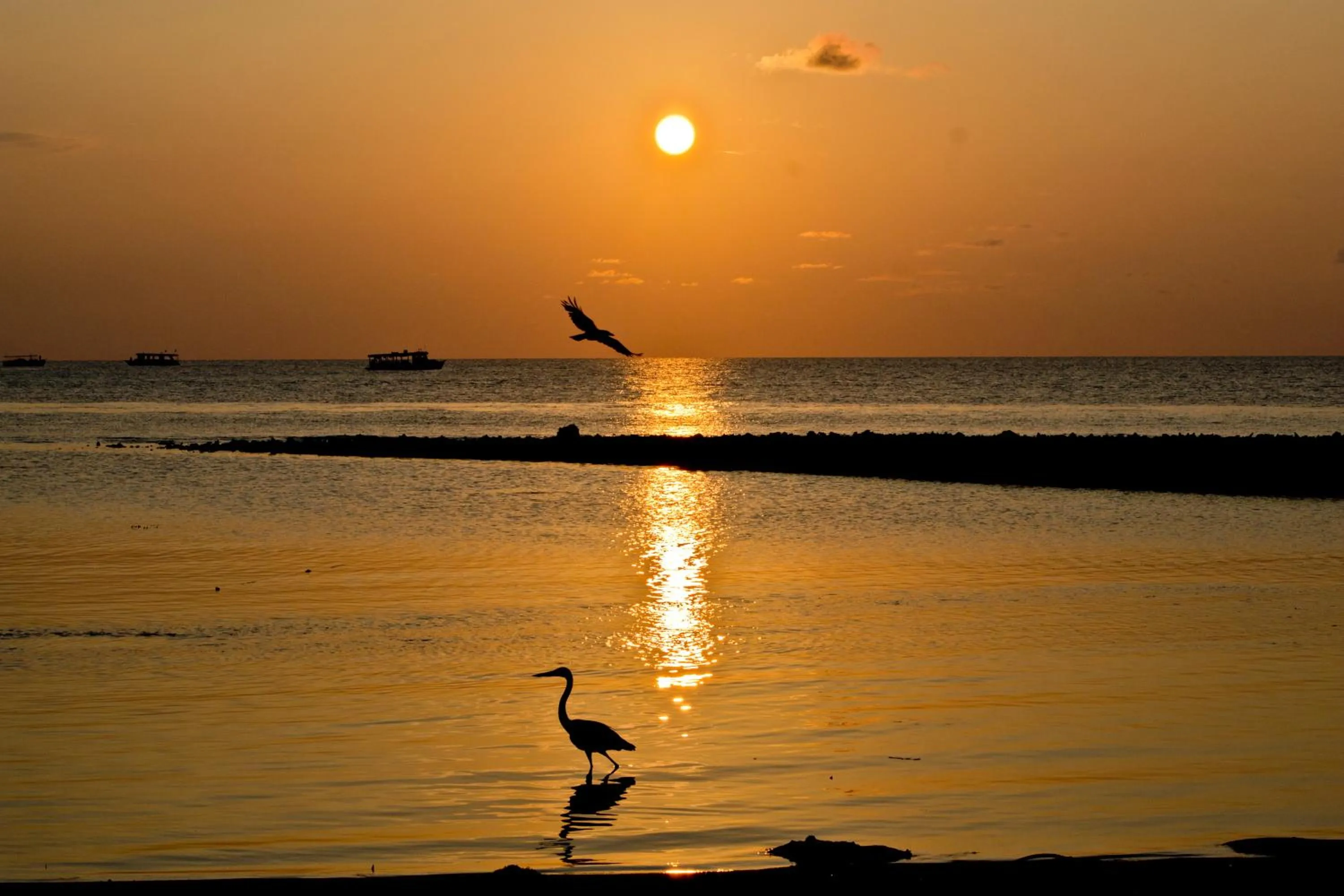 Summer in Ras Rana Lodge