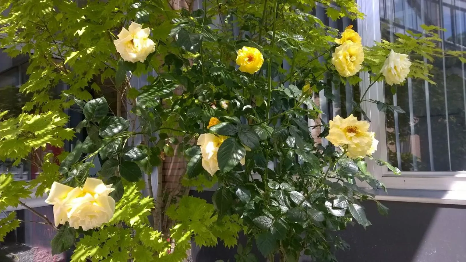 Other in CREO Munich City