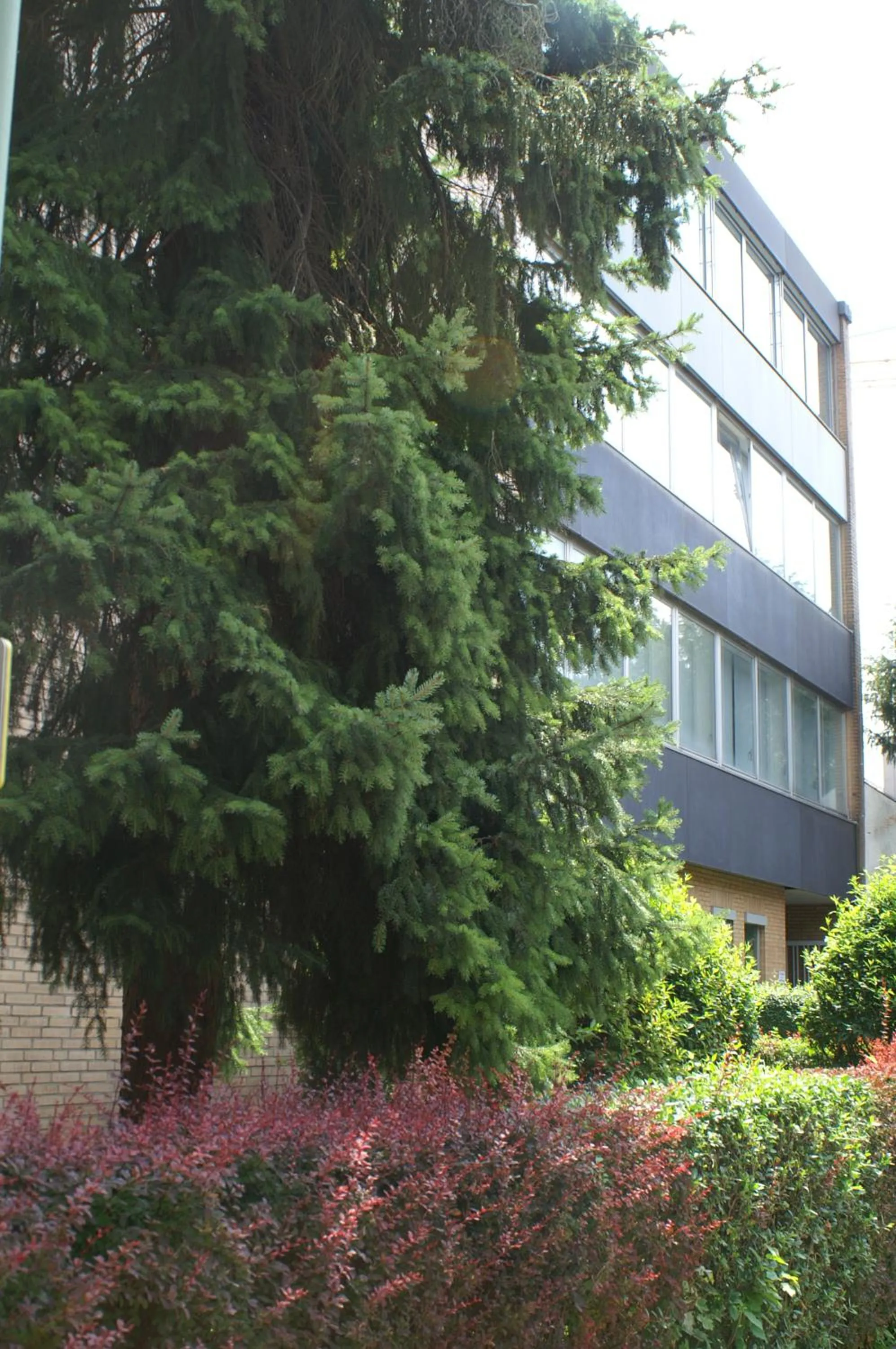 Facade/entrance in CREO Munich City