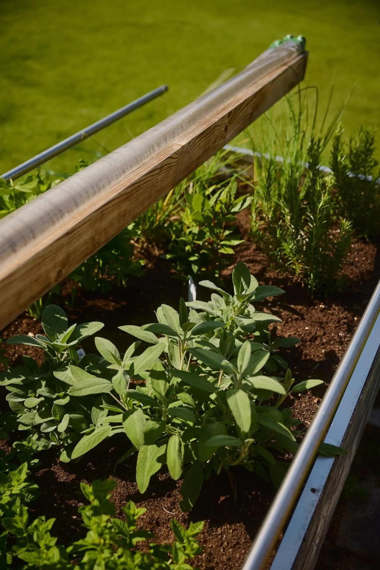 Day in Residence Rosarela