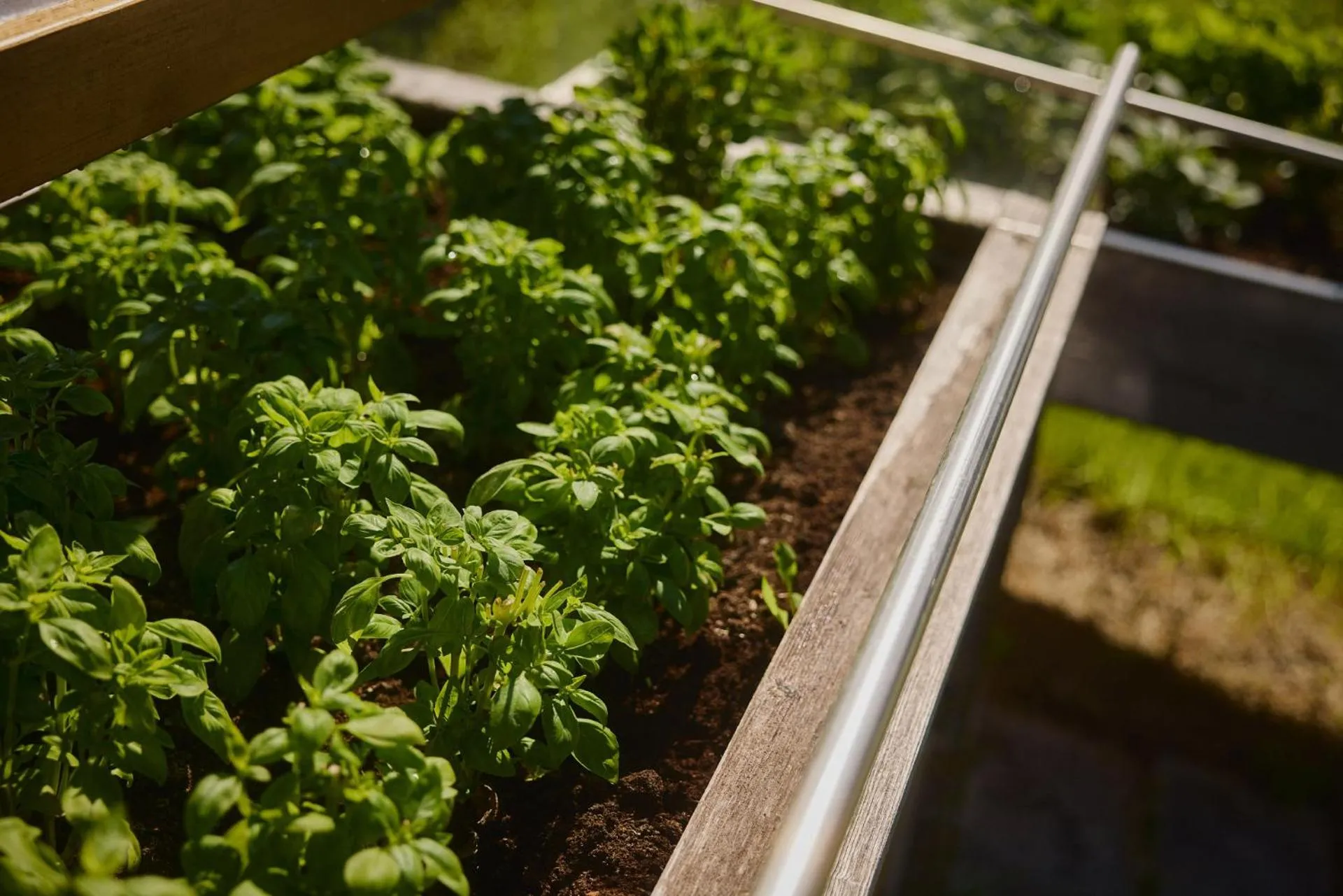 Day in Residence Rosarela