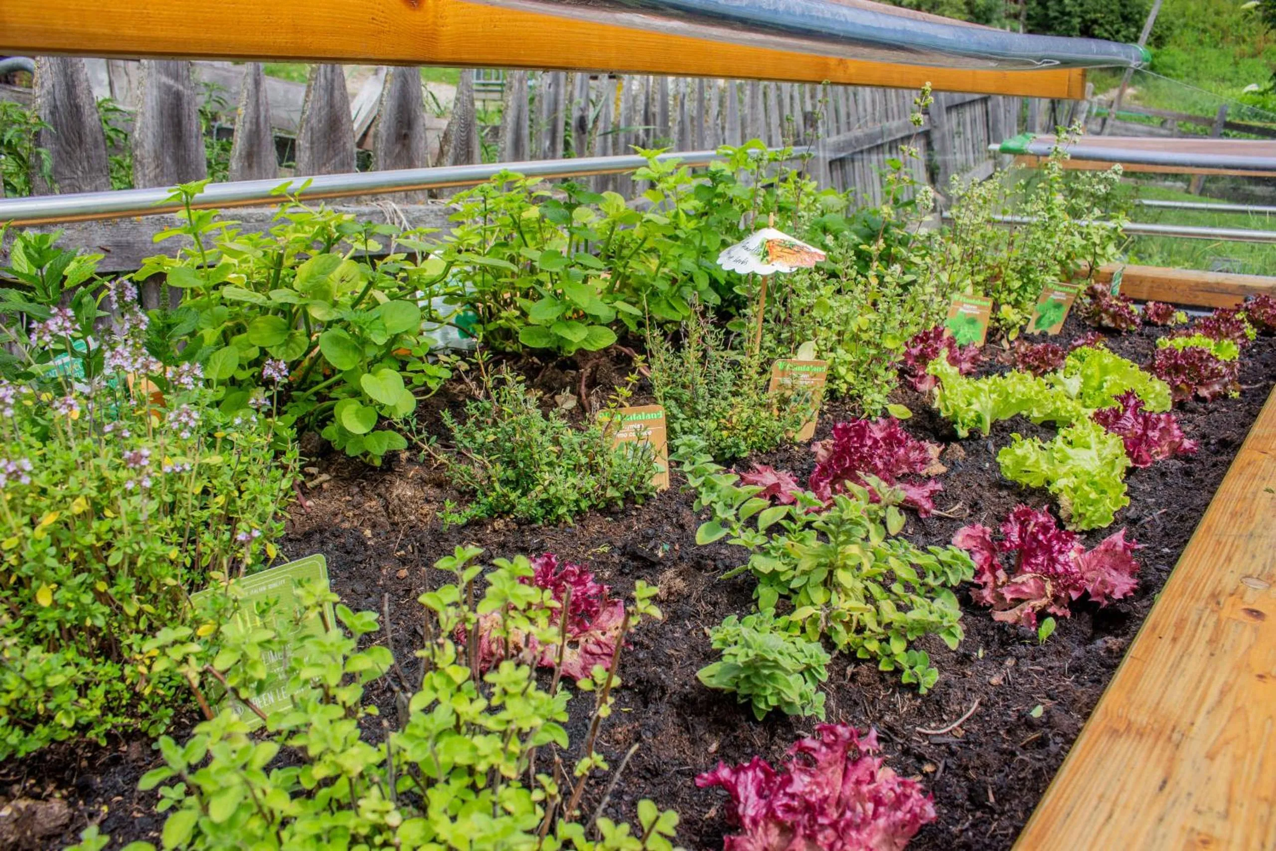 Garden in Residence Rosarela