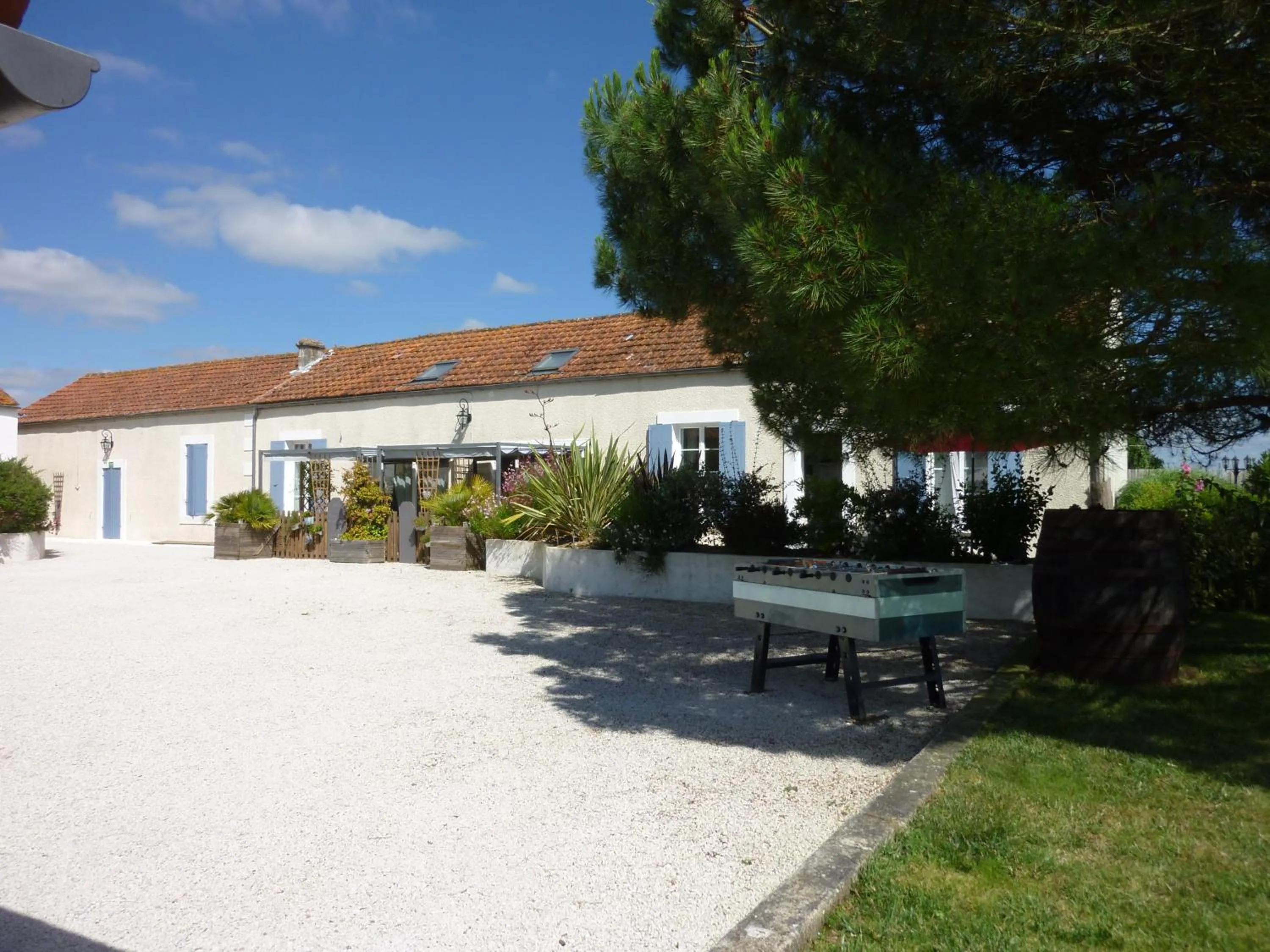 Garden view in Le Comptoir des Ecoliers