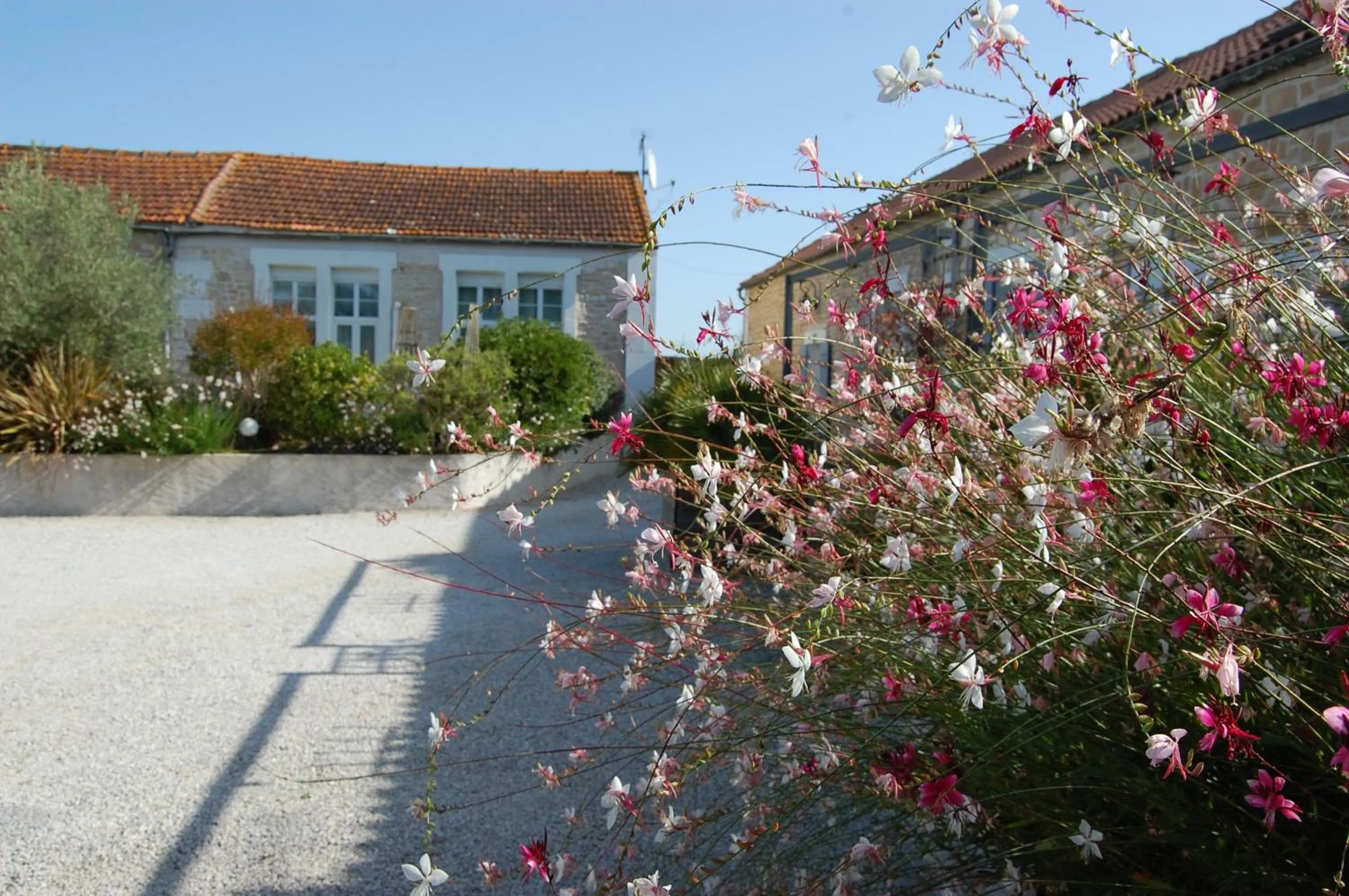 Facade/entrance in Le Comptoir des Ecoliers
