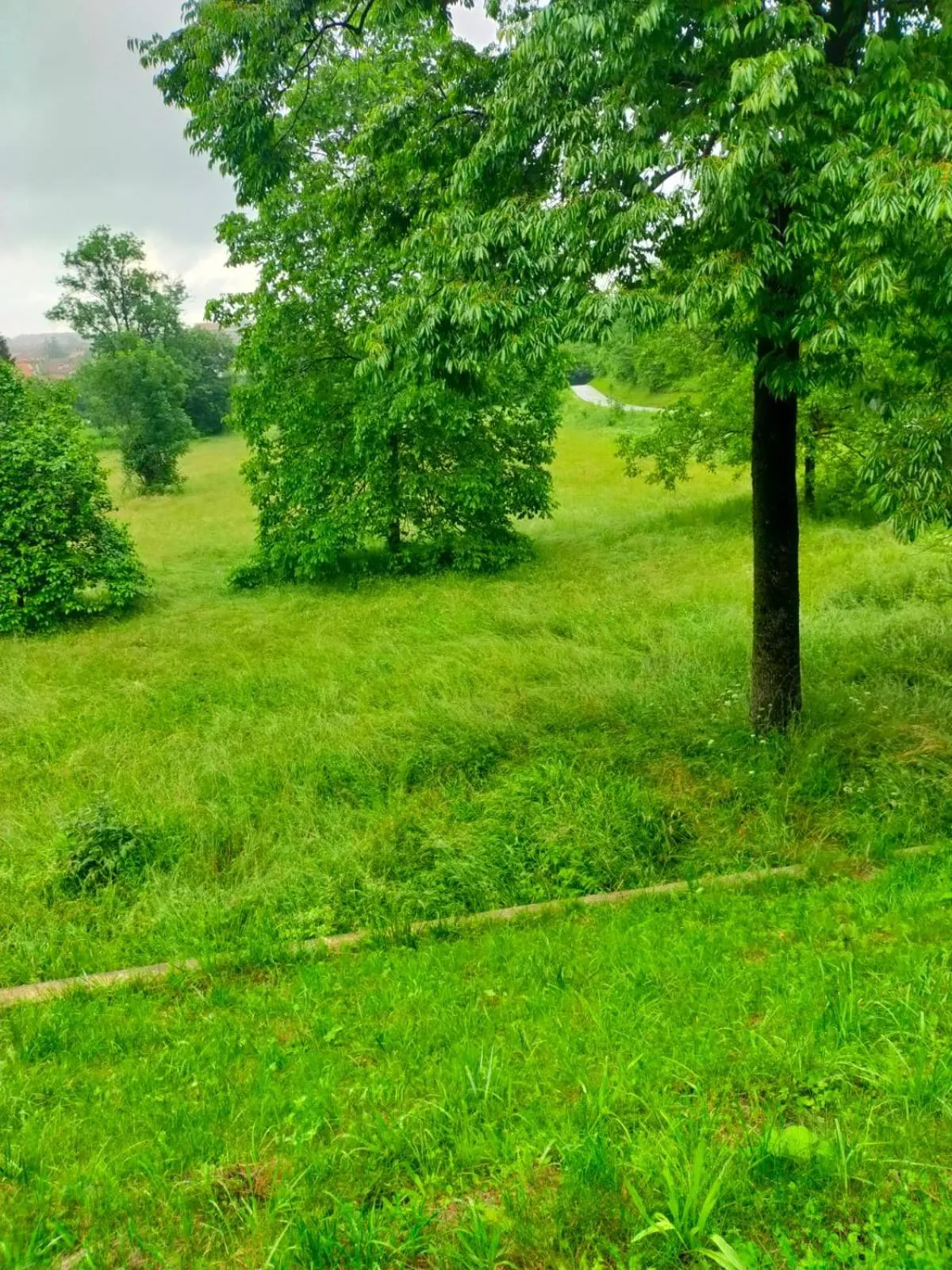 Spring, Garden in Il Bosco Incantato