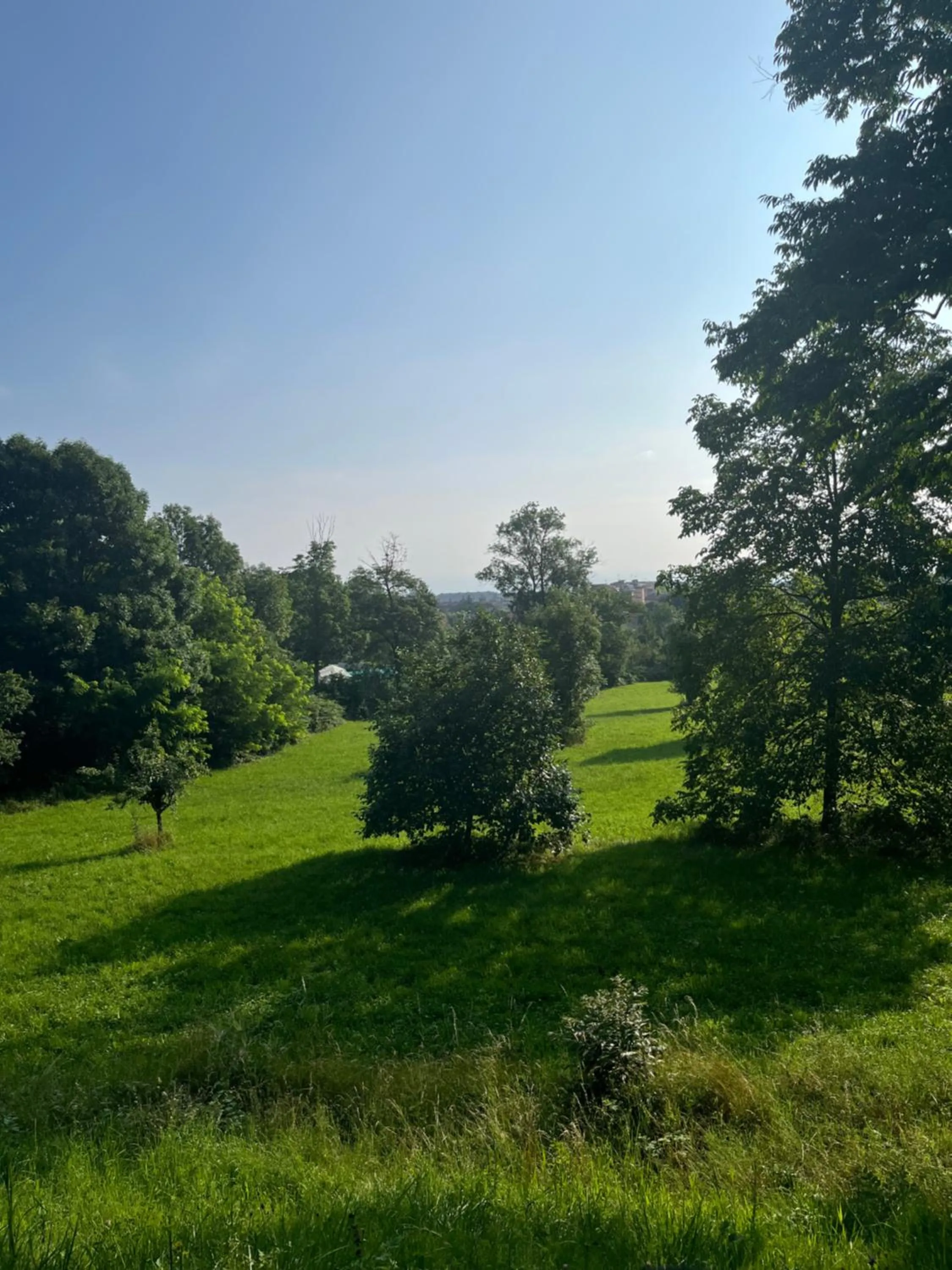 Property building in Il Bosco Incantato