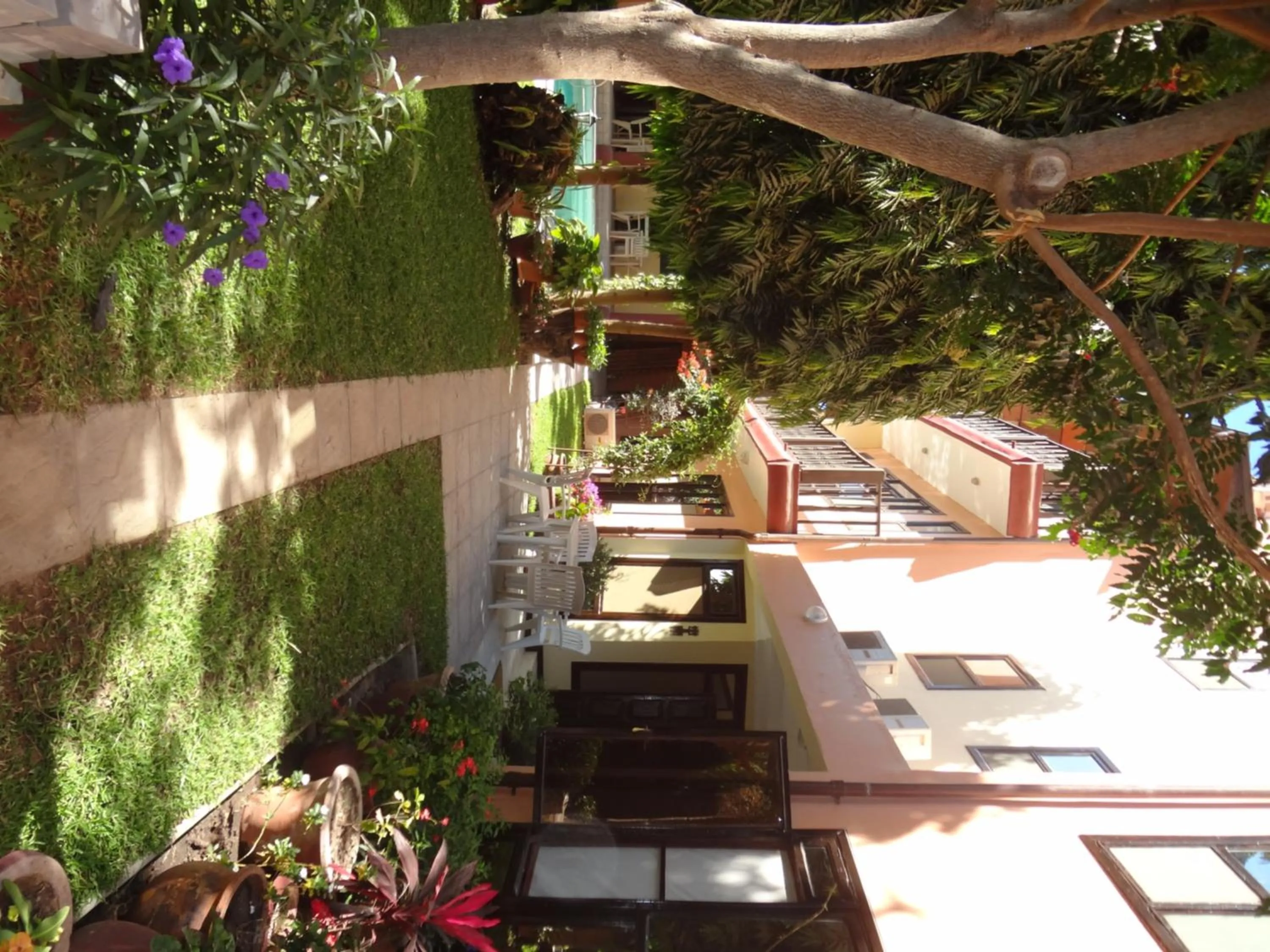 Patio in Roc Heights