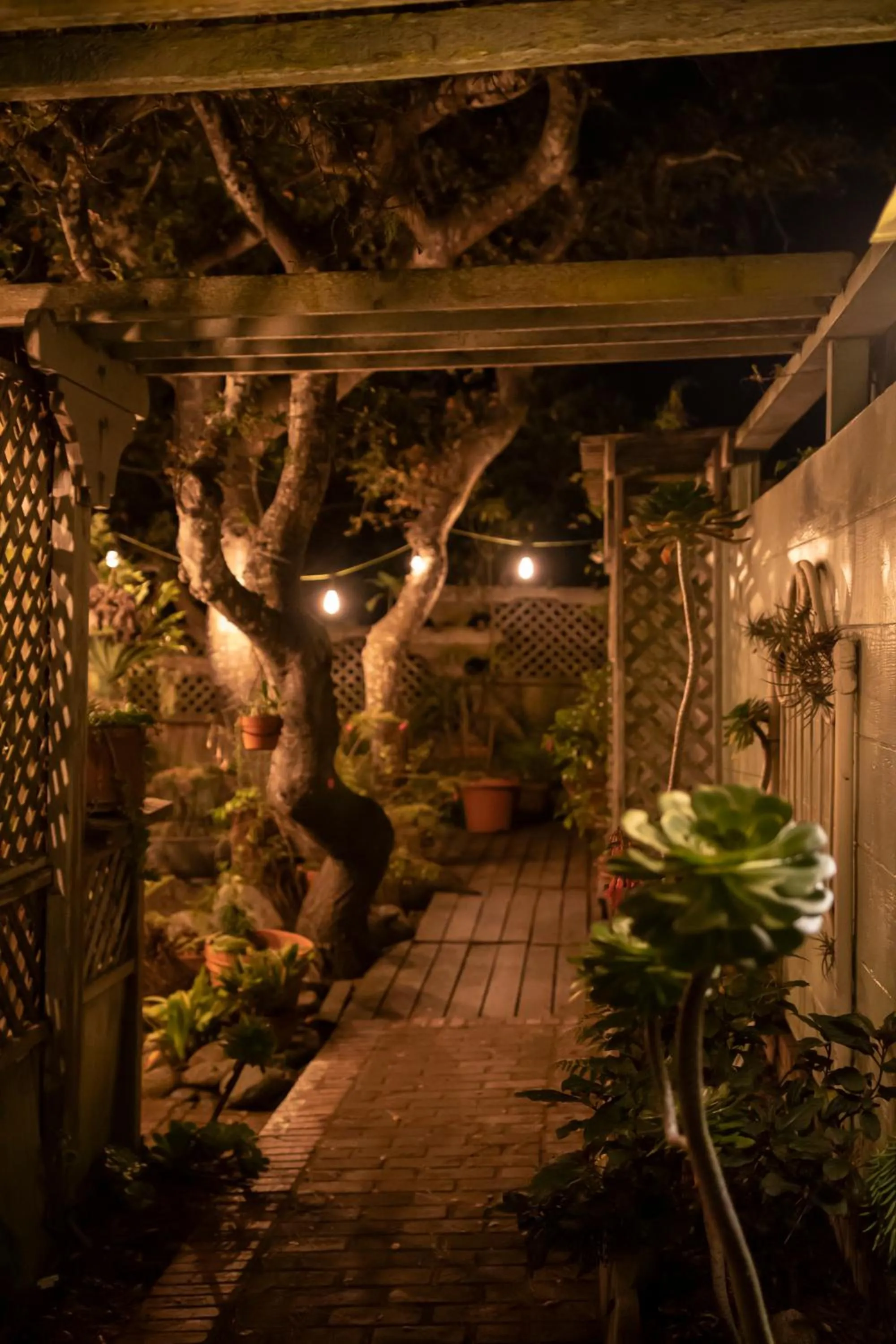 Night in Carmel Garden Inn