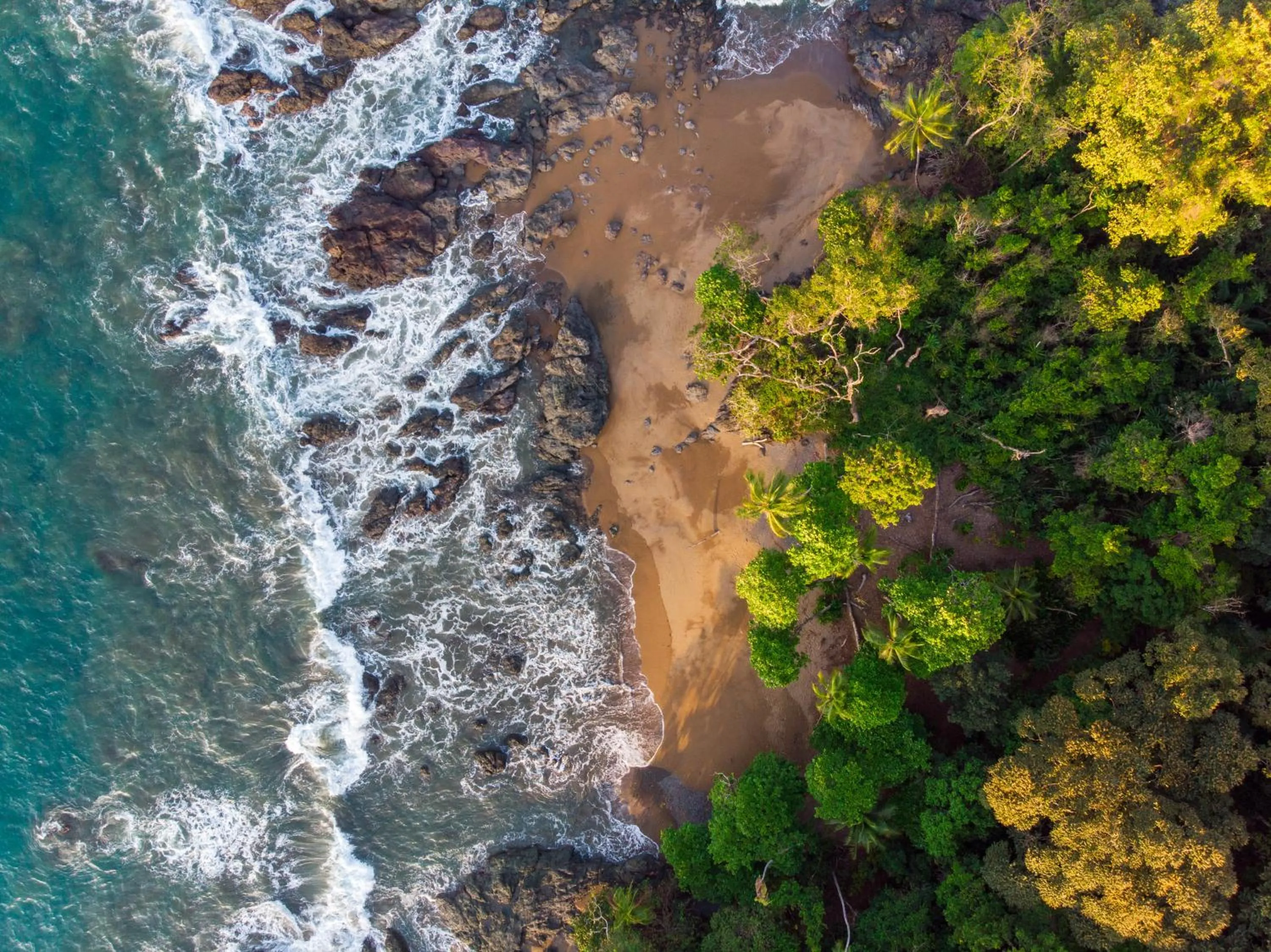 Natural landscape in Las Caletas Lodge