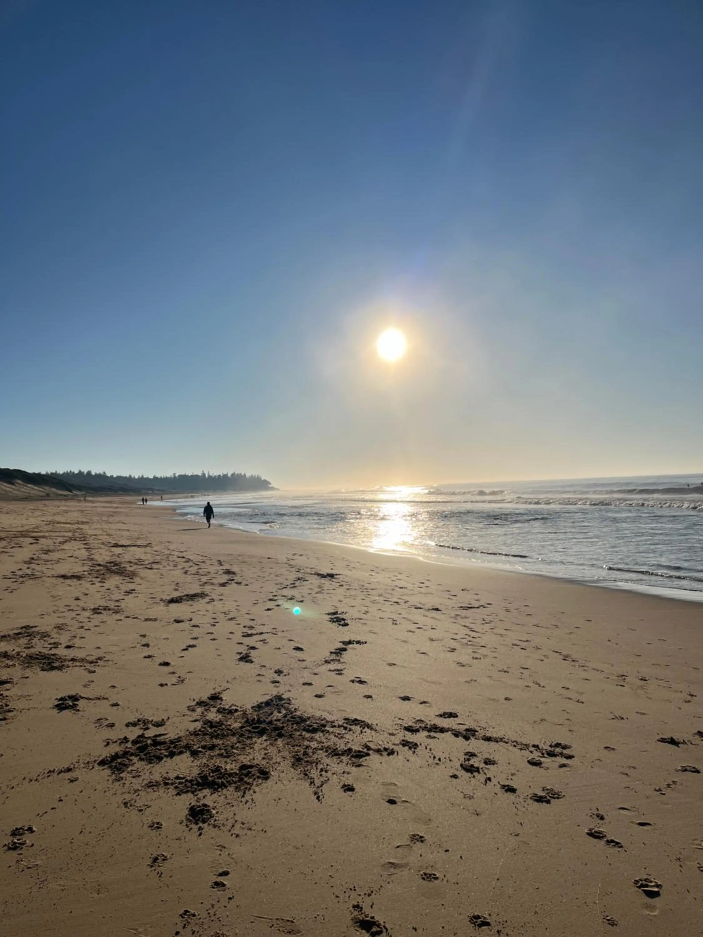 Beach in Blue Lagoon Beach Resort