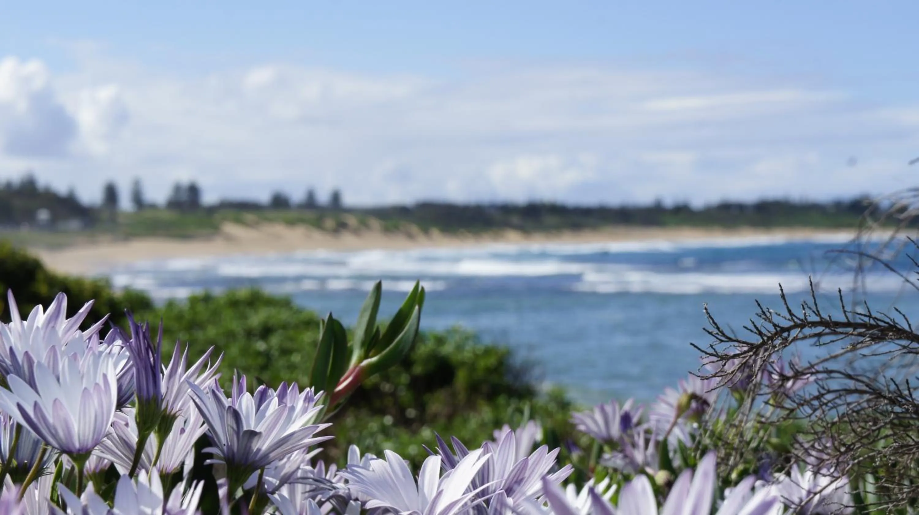 Natural landscape in Blue Lagoon Beach Resort