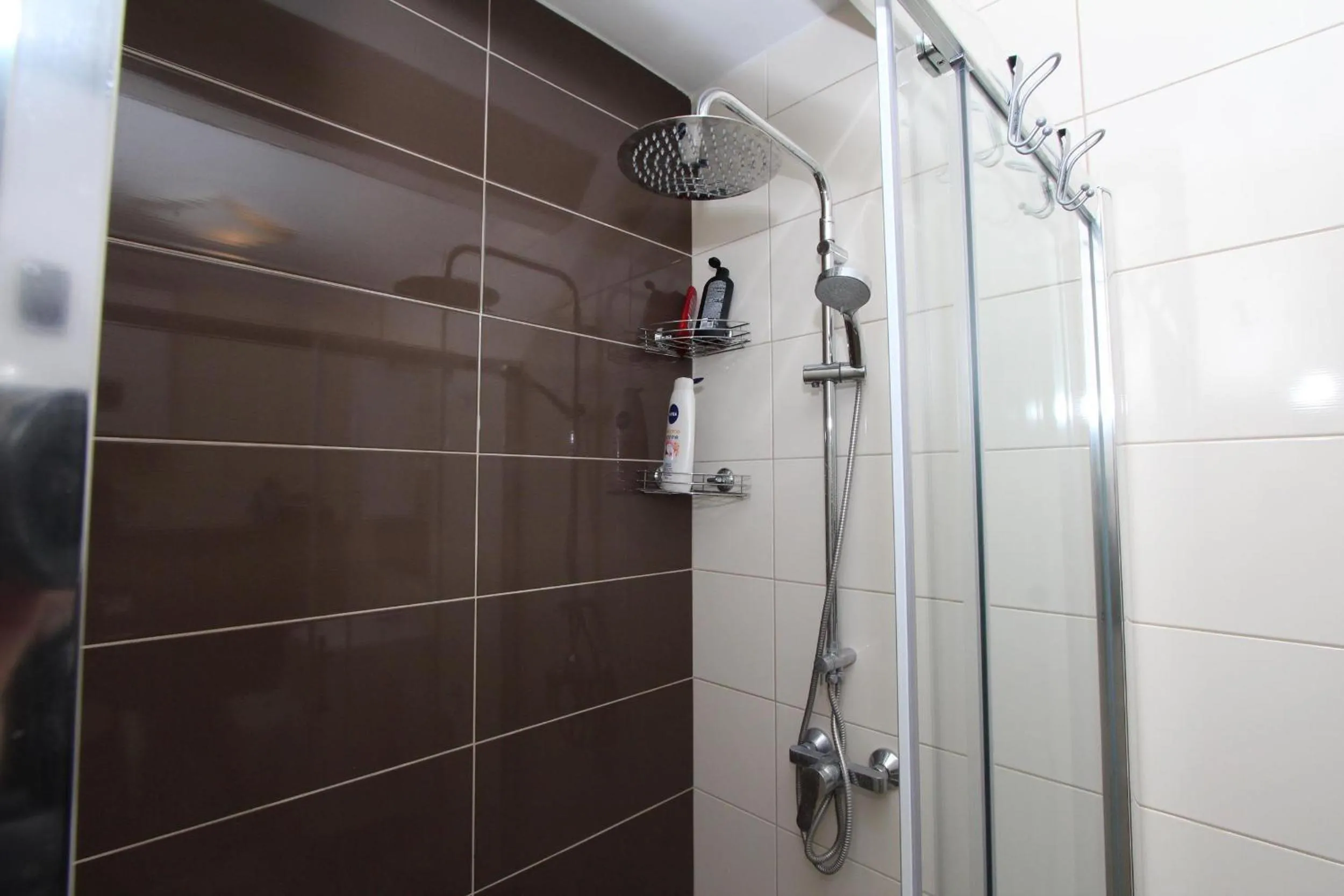 Shower in Apartment Elia