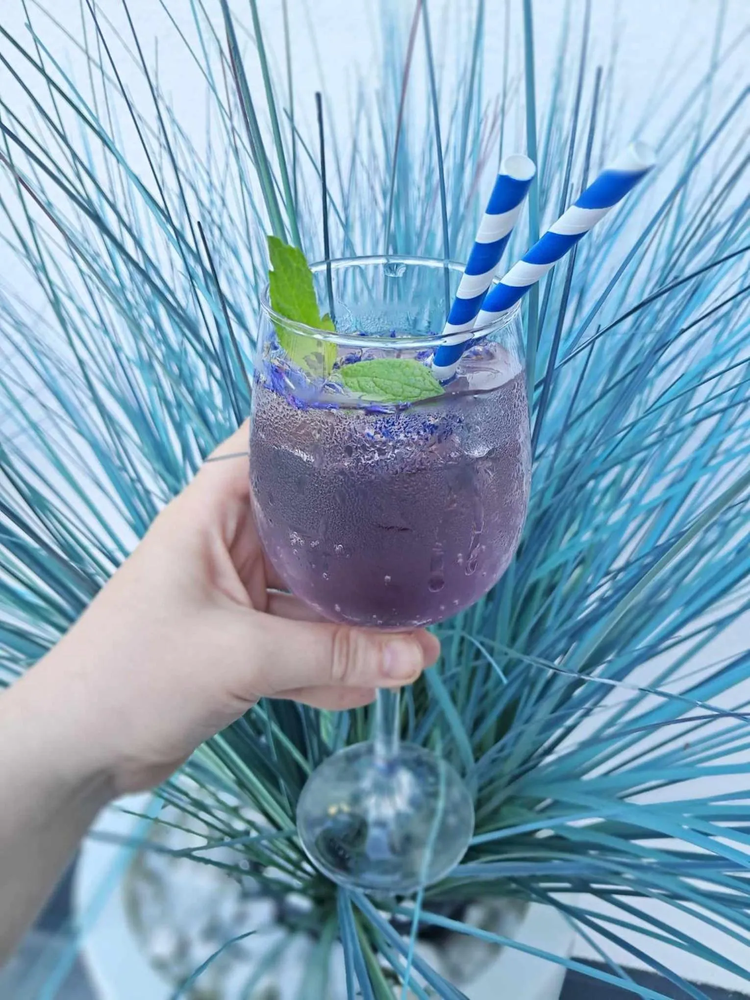 Restaurant/places to eat in Mielno Hotel Boutique