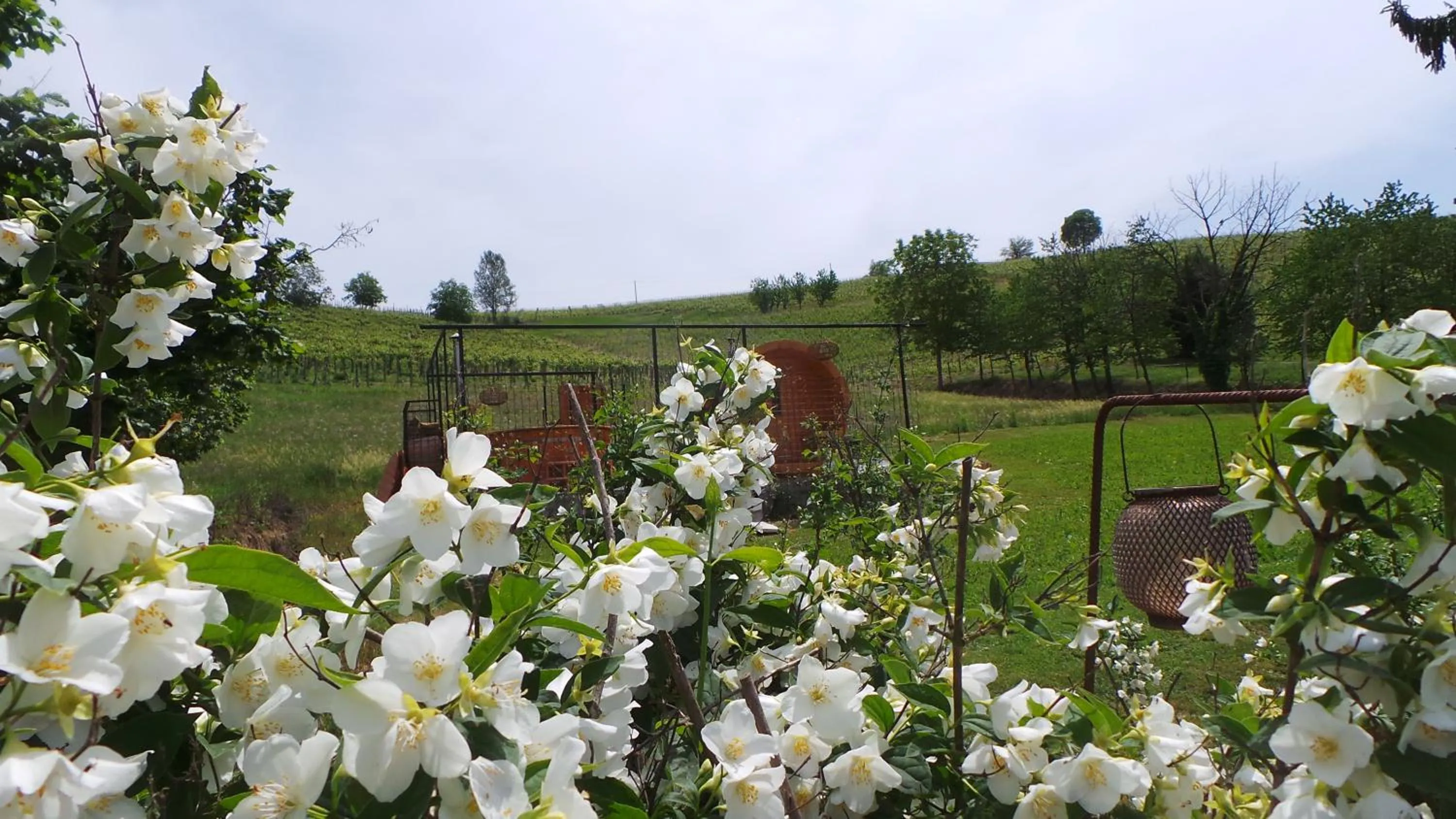 Natural landscape in Sotto La Vigna Charm Stay Adult only vacation Balcony suite