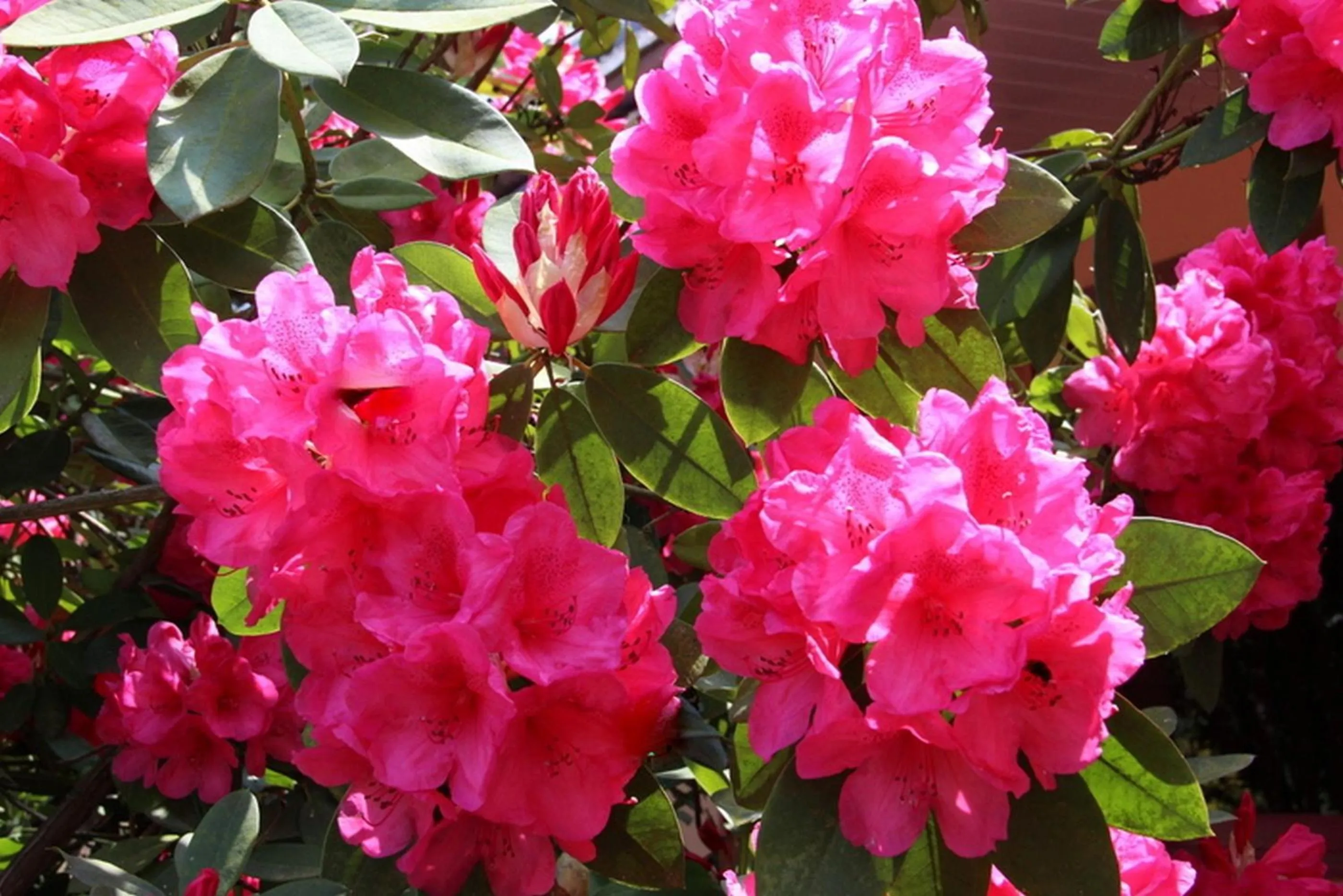 Garden in Au Relais de l'Oust