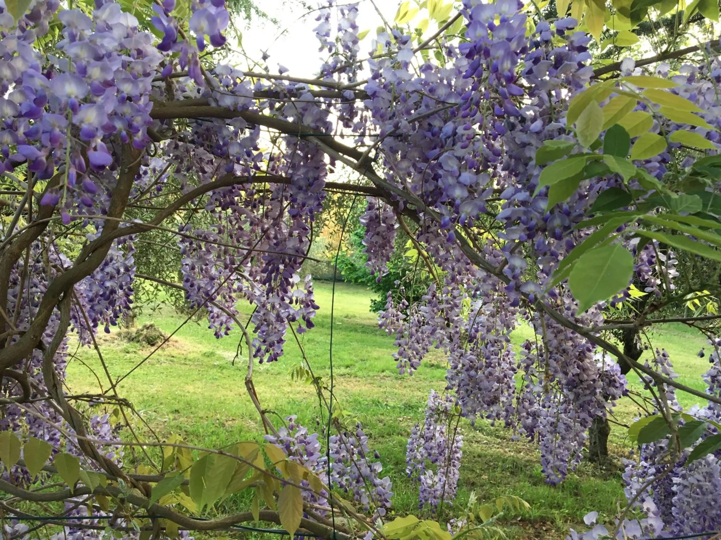 Spring in La Stregatta