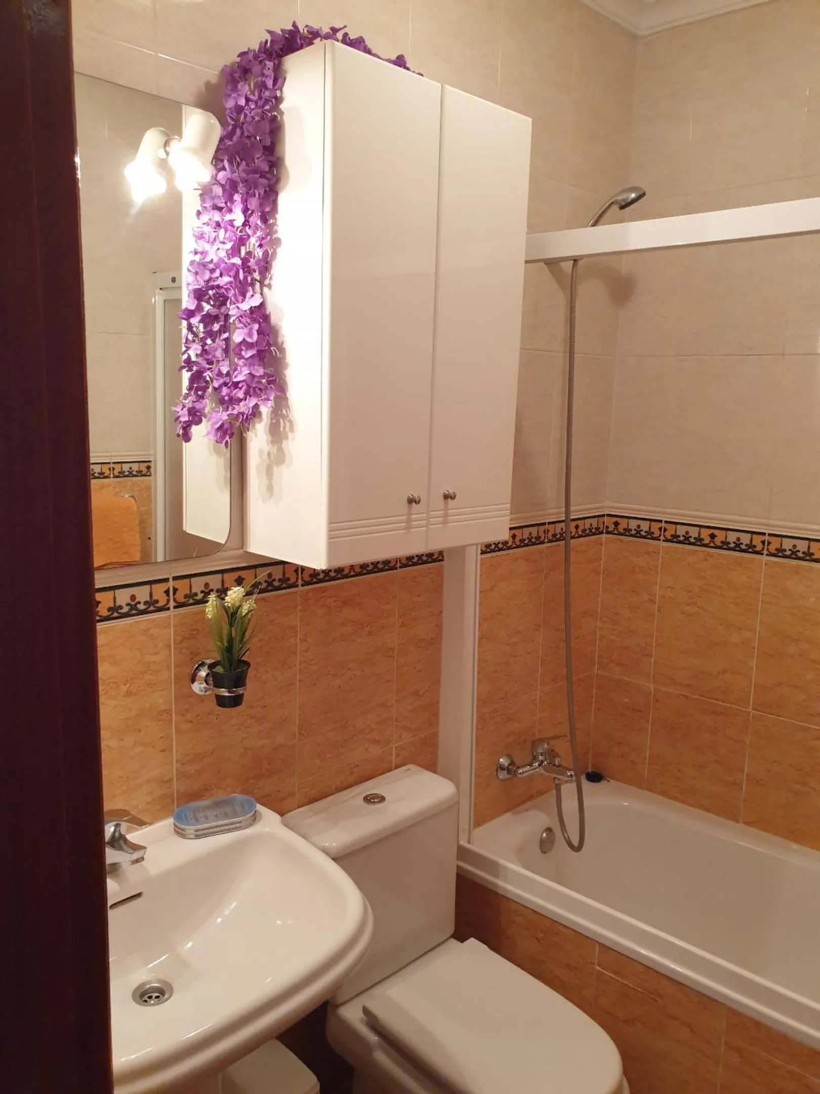 Apartamentos Dana Sol