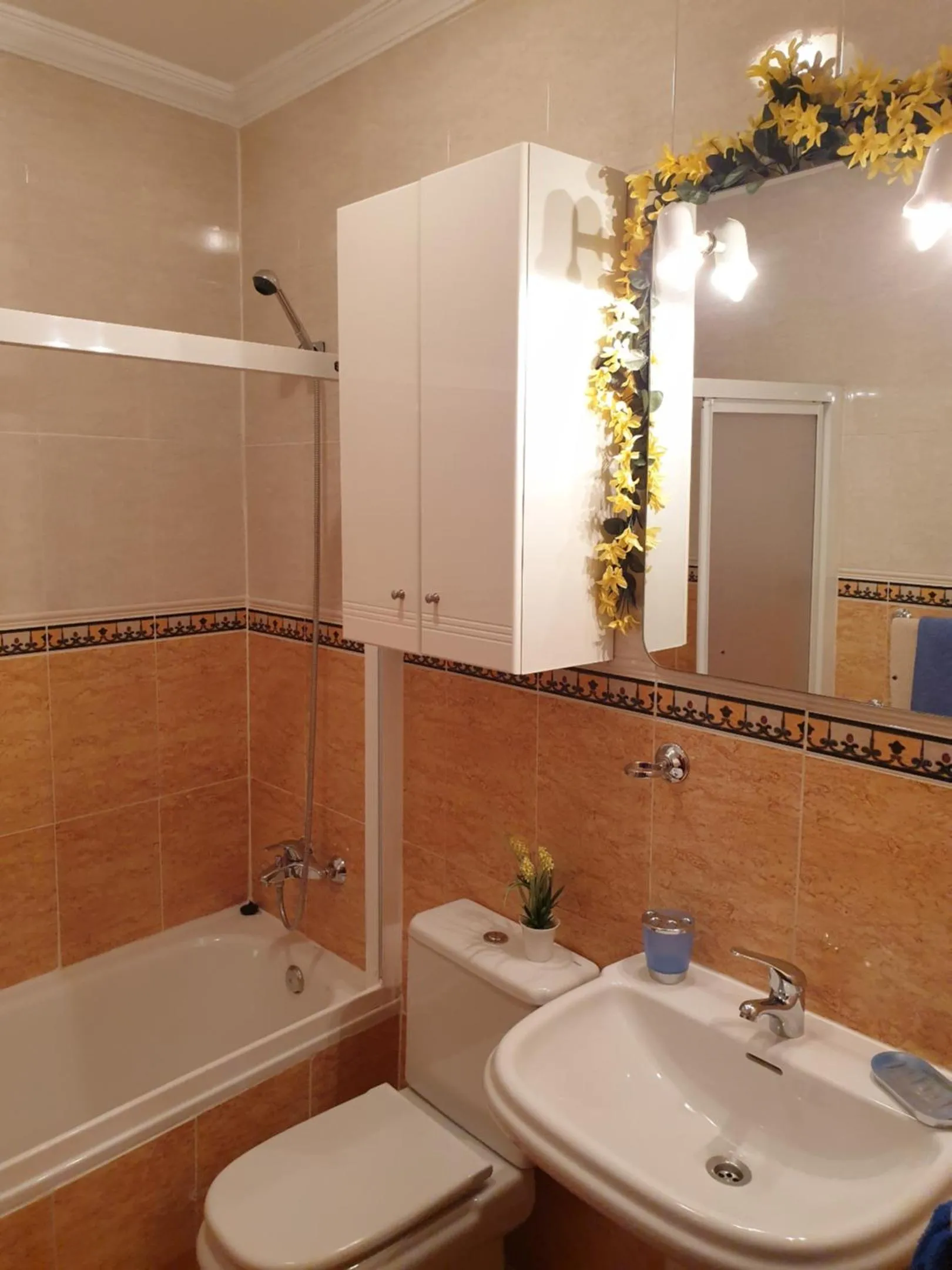 Apartamentos Dana Sol