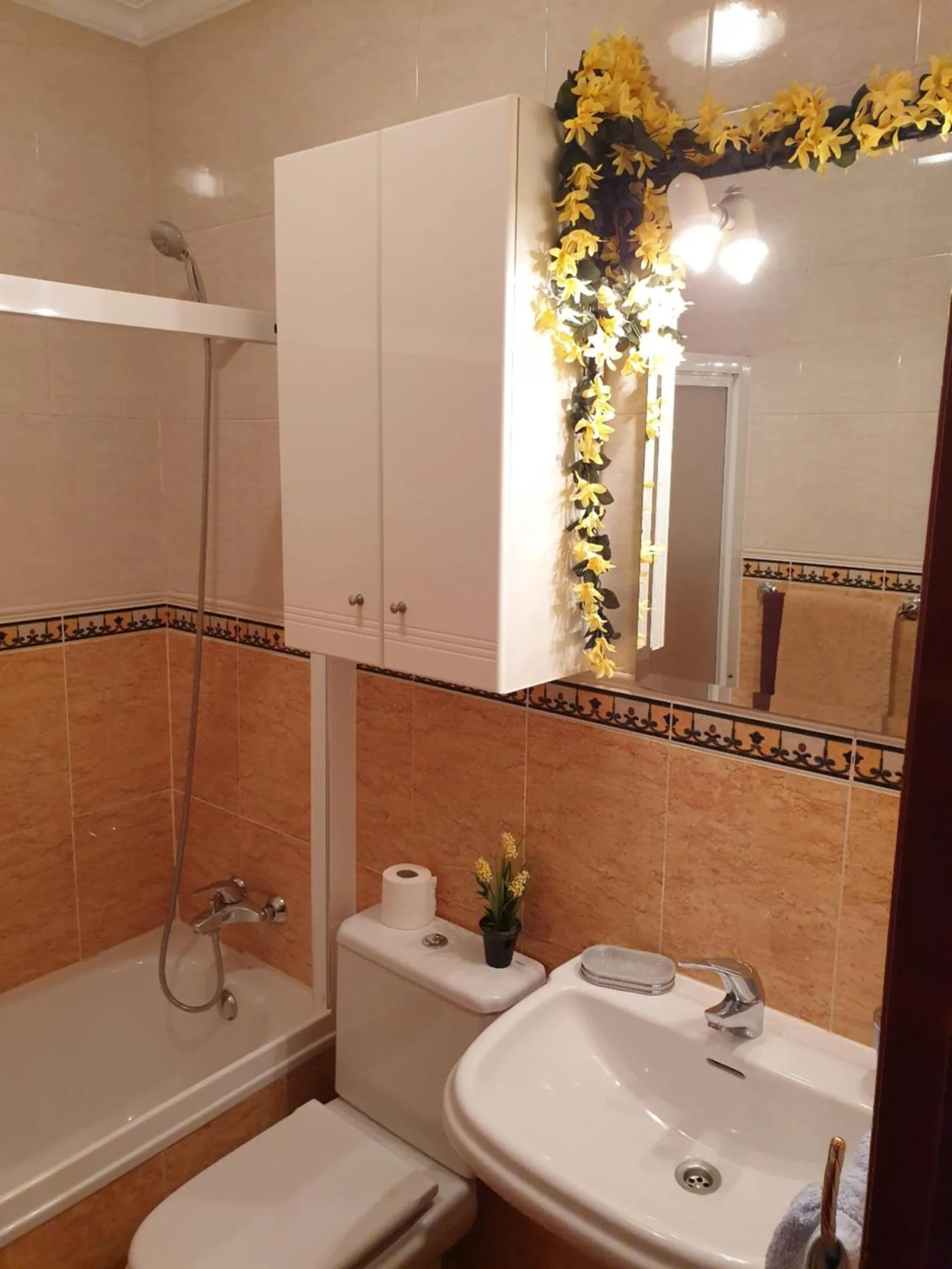 Apartamentos Dana Sol