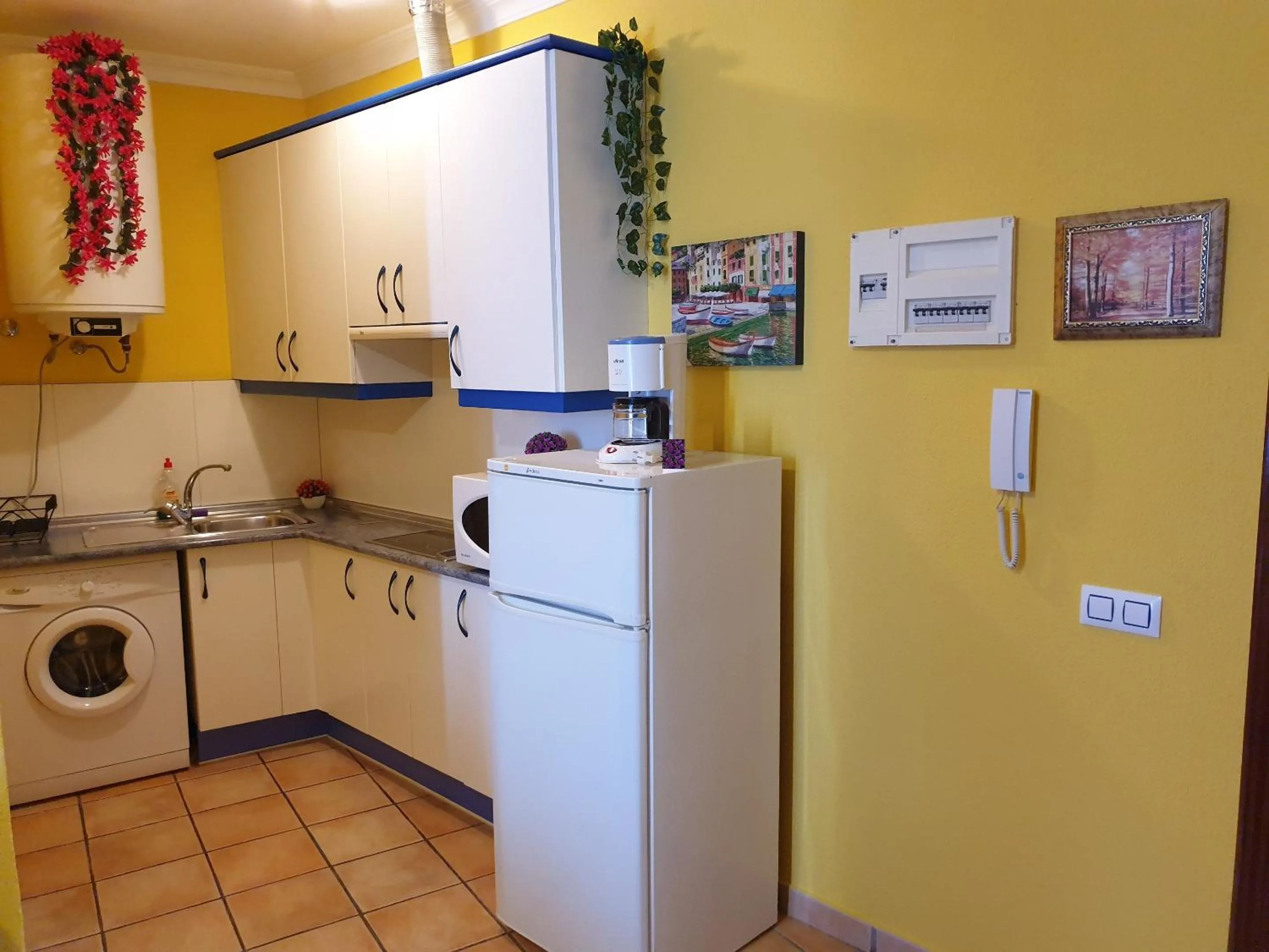 Apartamentos Dana Sol