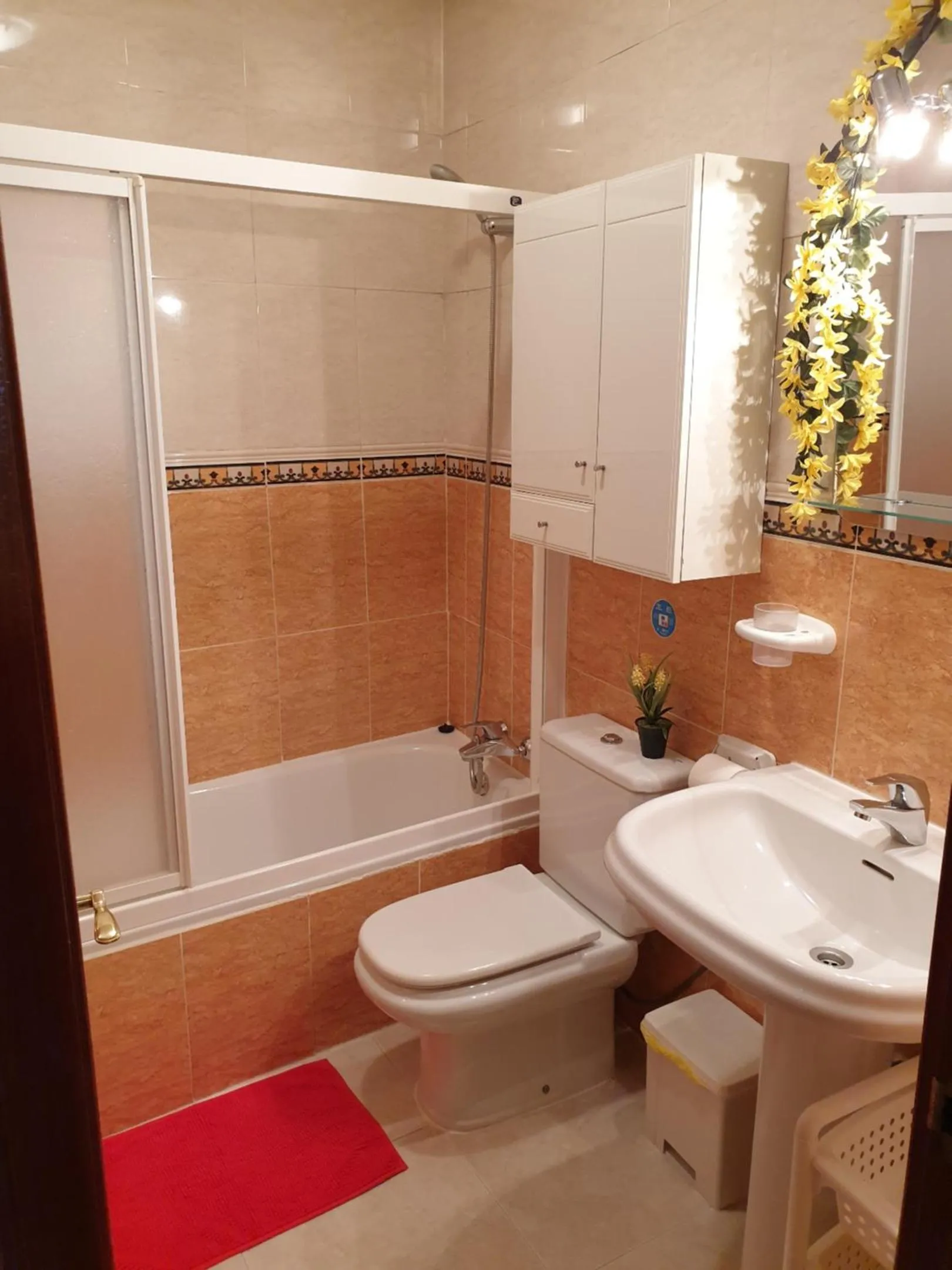 Apartamentos Dana Sol