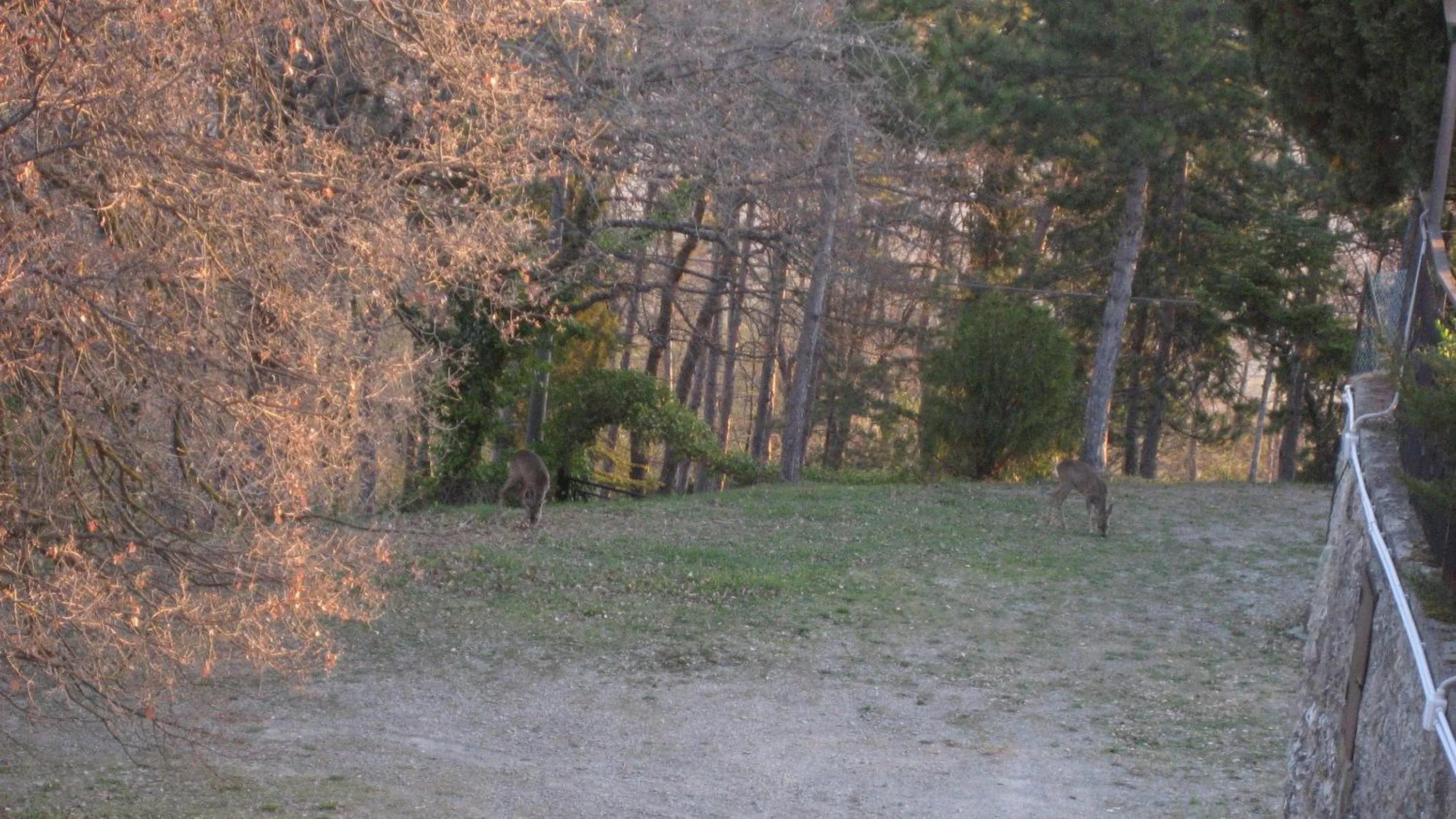 Facade/entrance in La Torre Ai Mari
