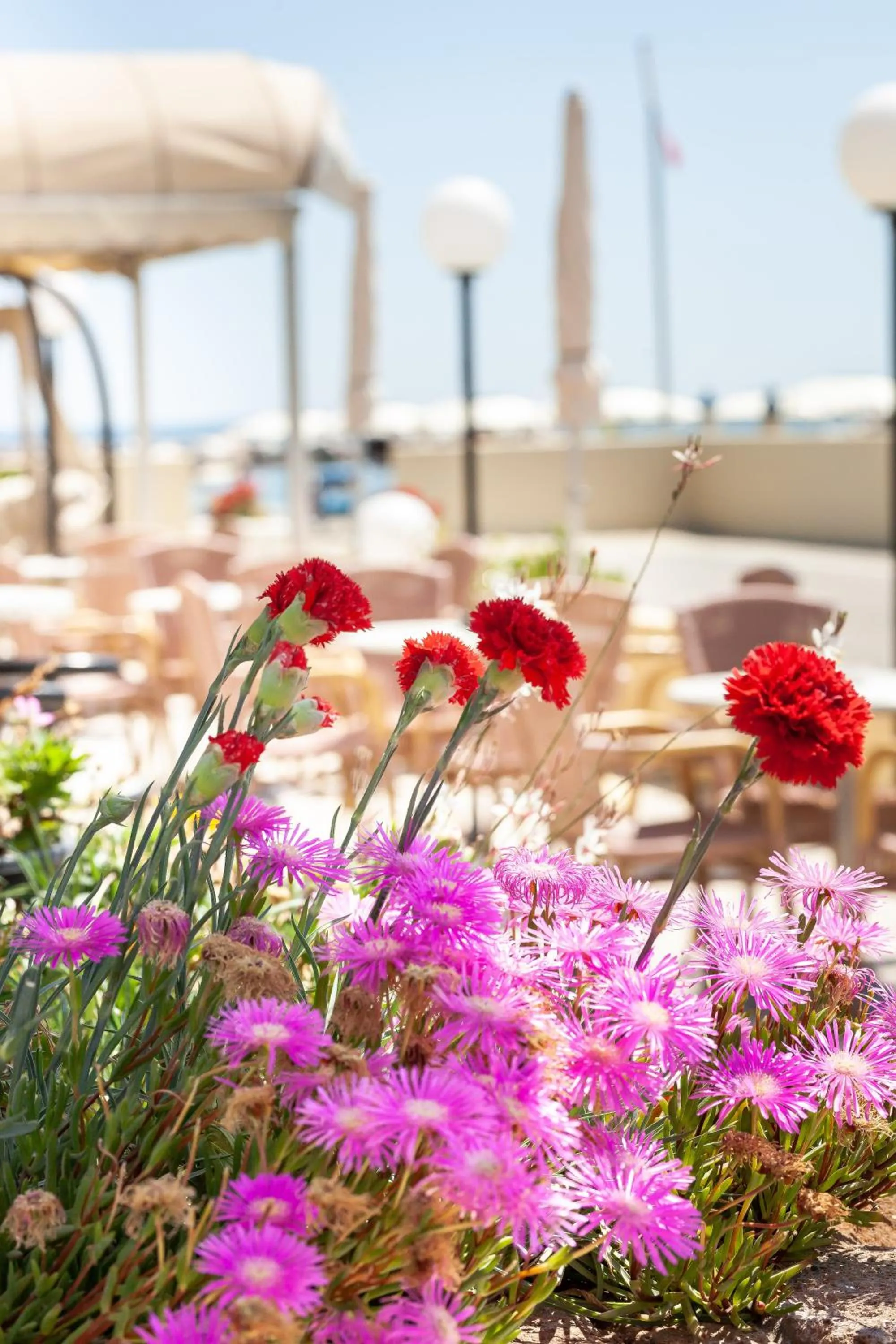 Hotel Primavera sul mare