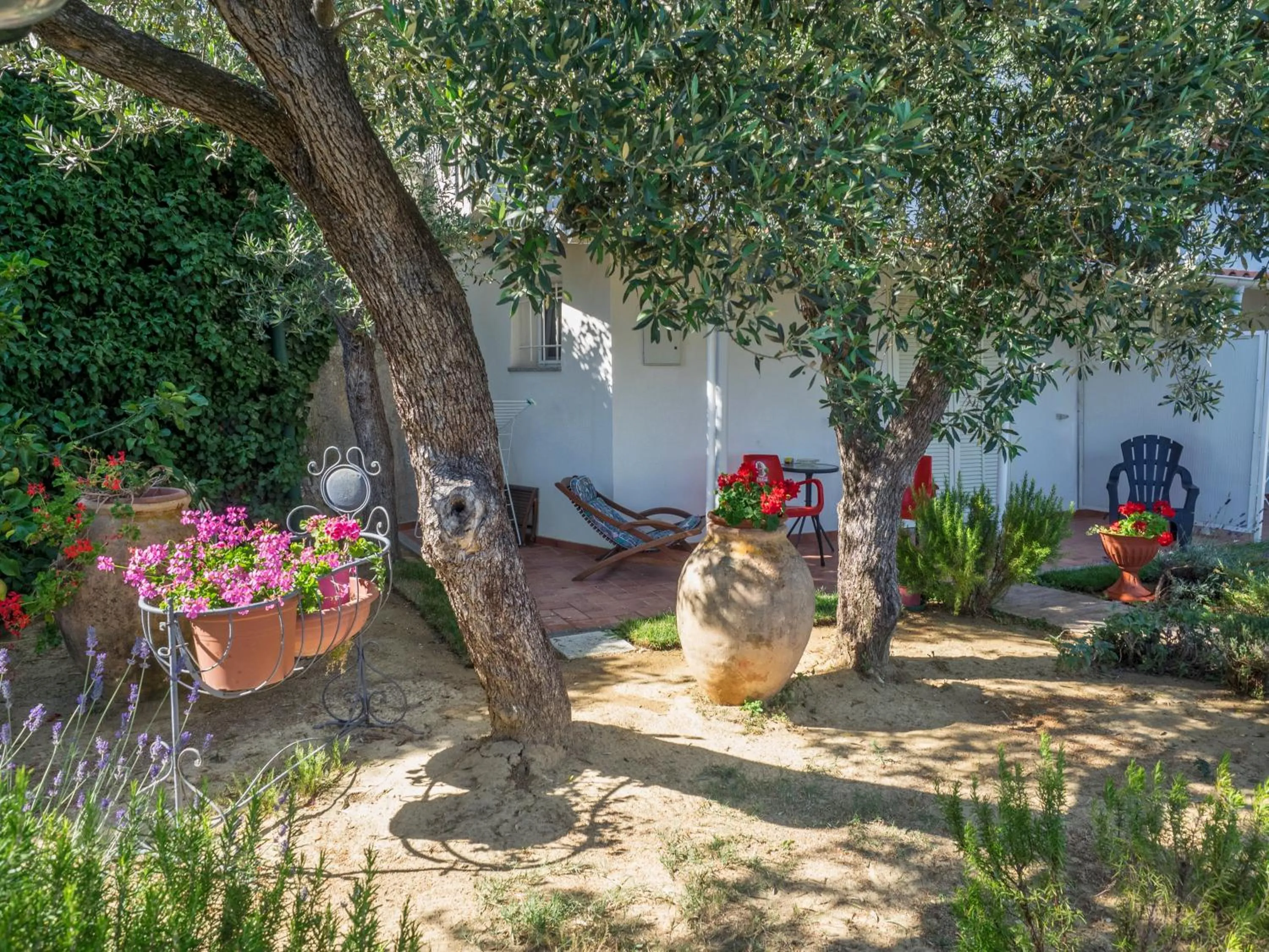 Garden in Tra Gli Ulivi