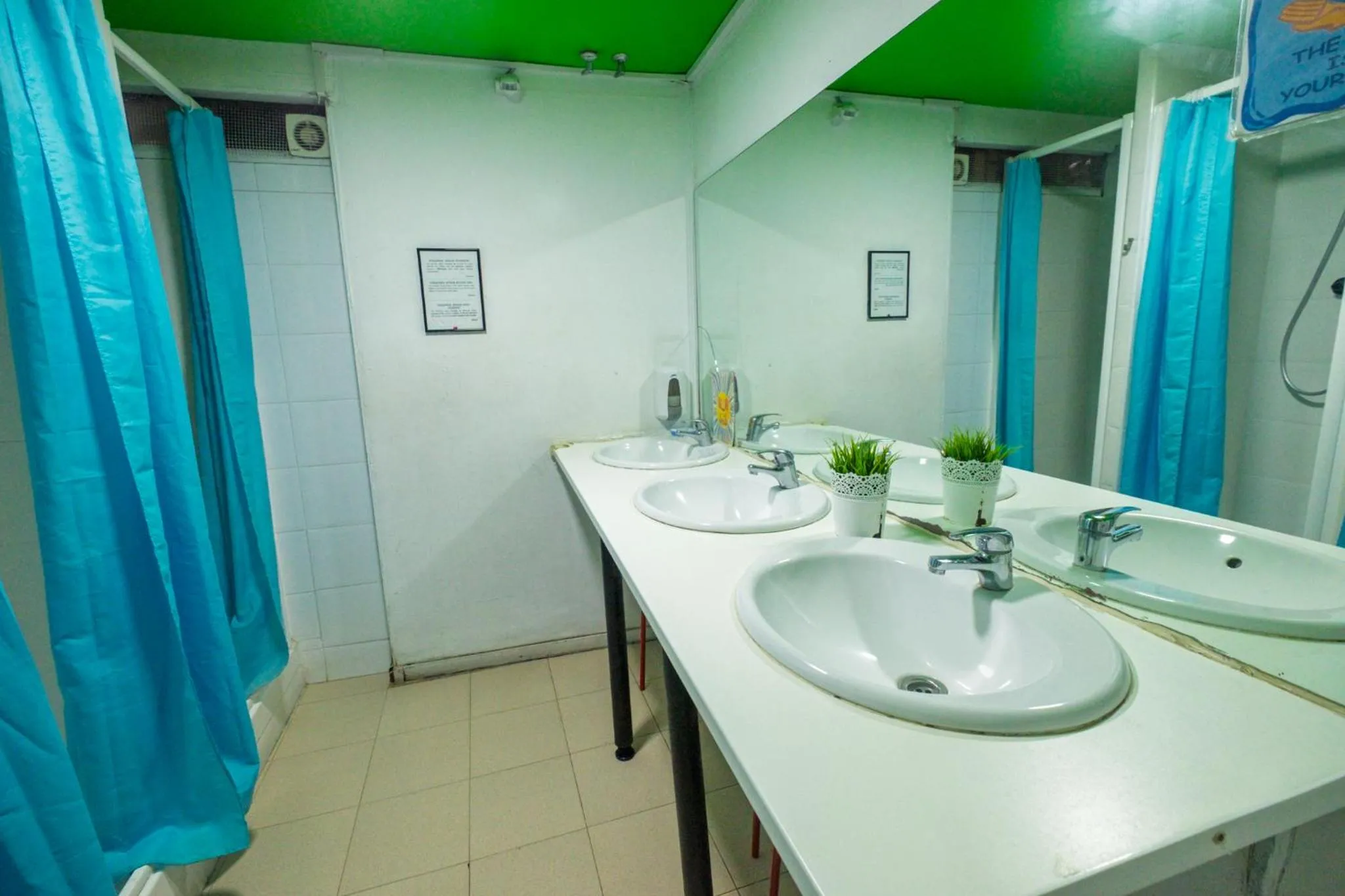 Diagonal House Hostel