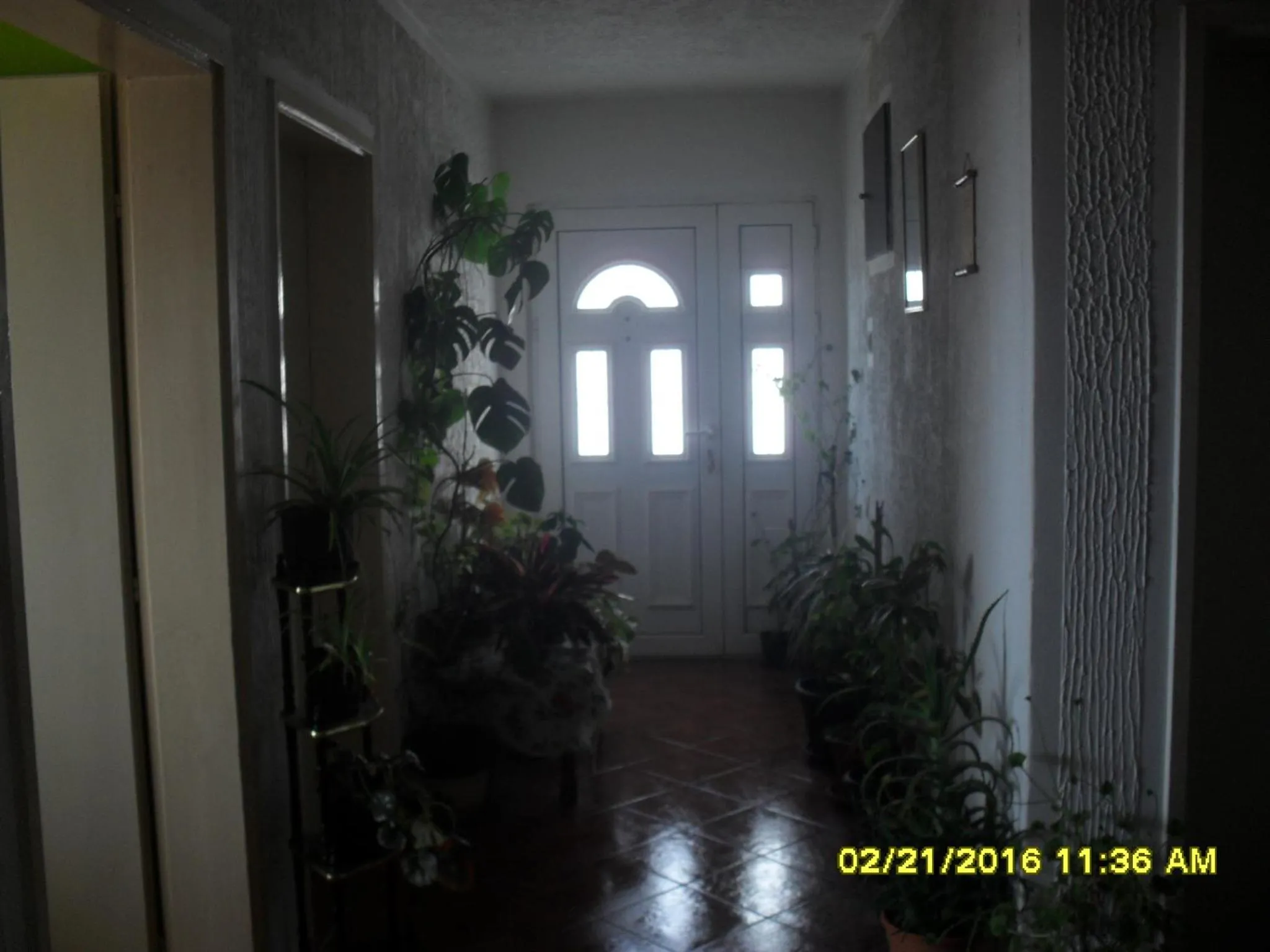 Other in Apartment Batricevic