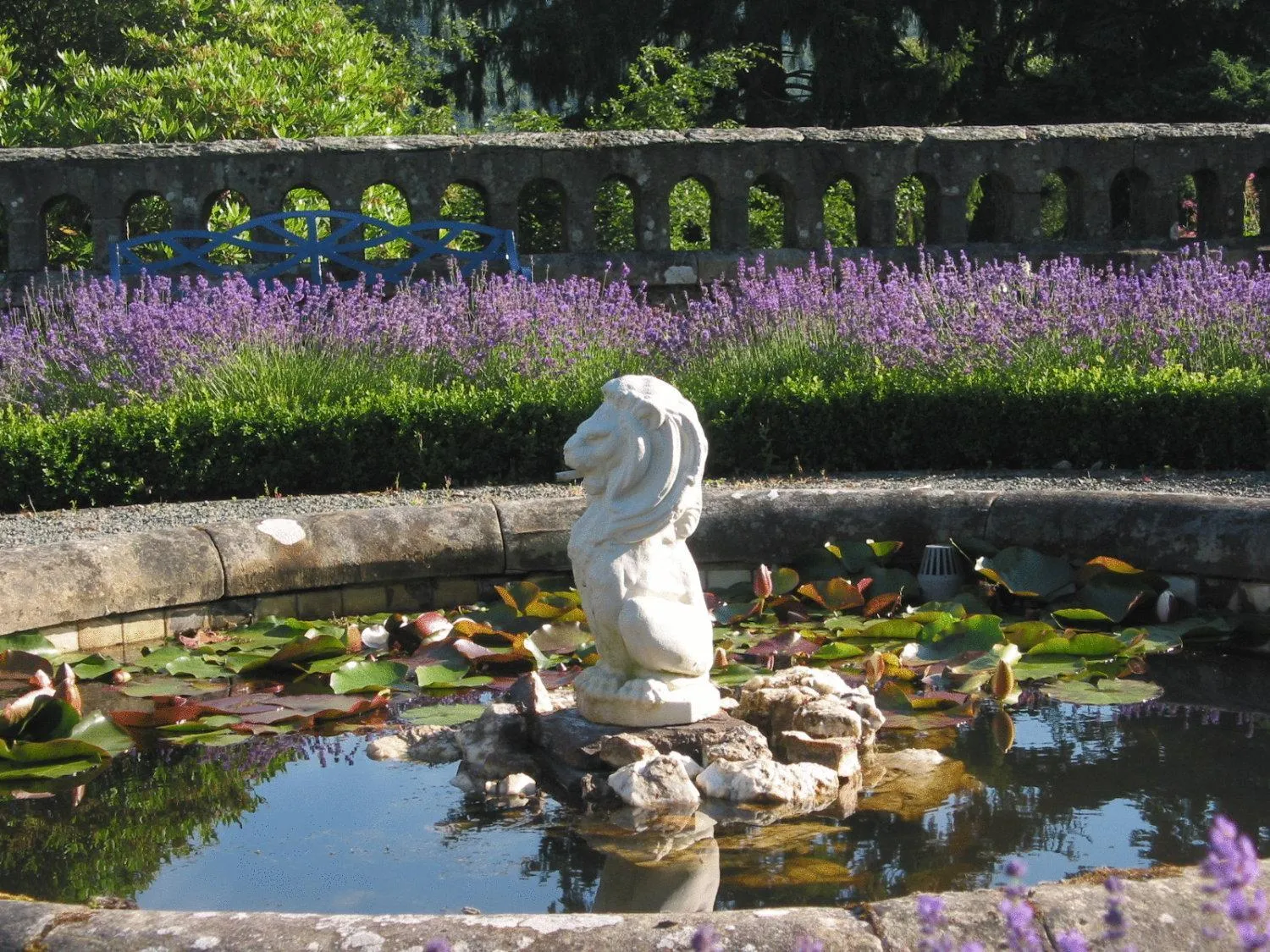 Garden in Penmaenuchaf Hotel