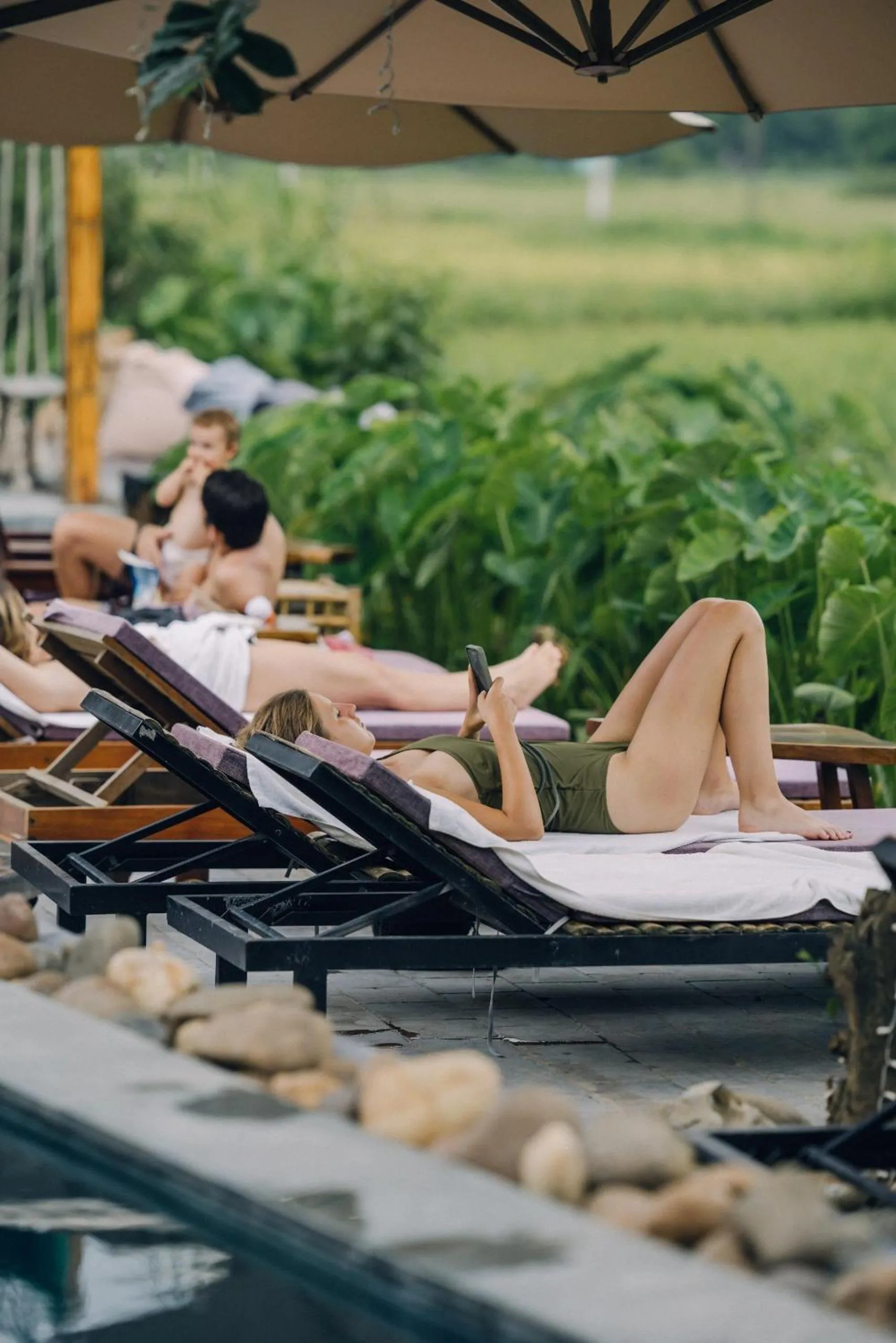 Spring in Tam Coc Windy Fields