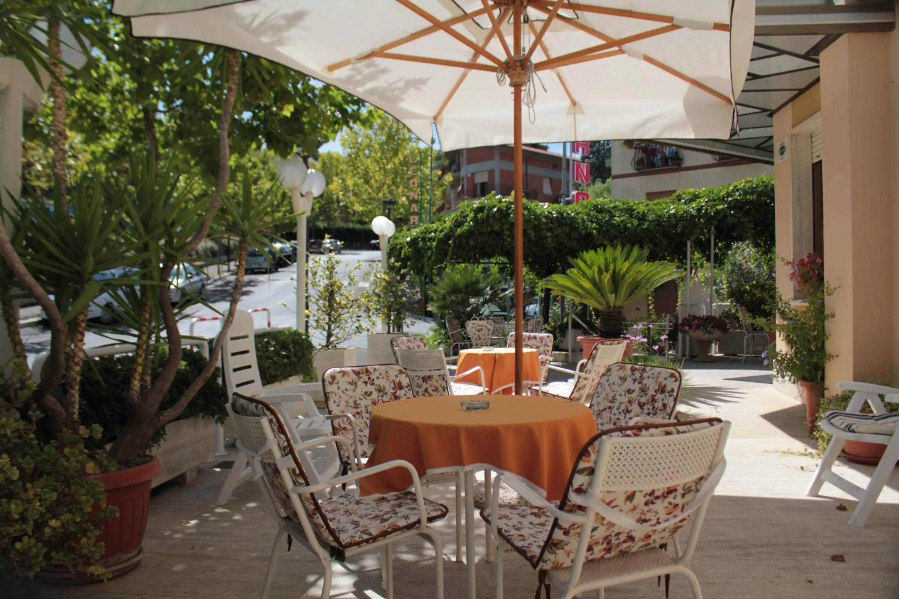 Garden in Hotel Saturno